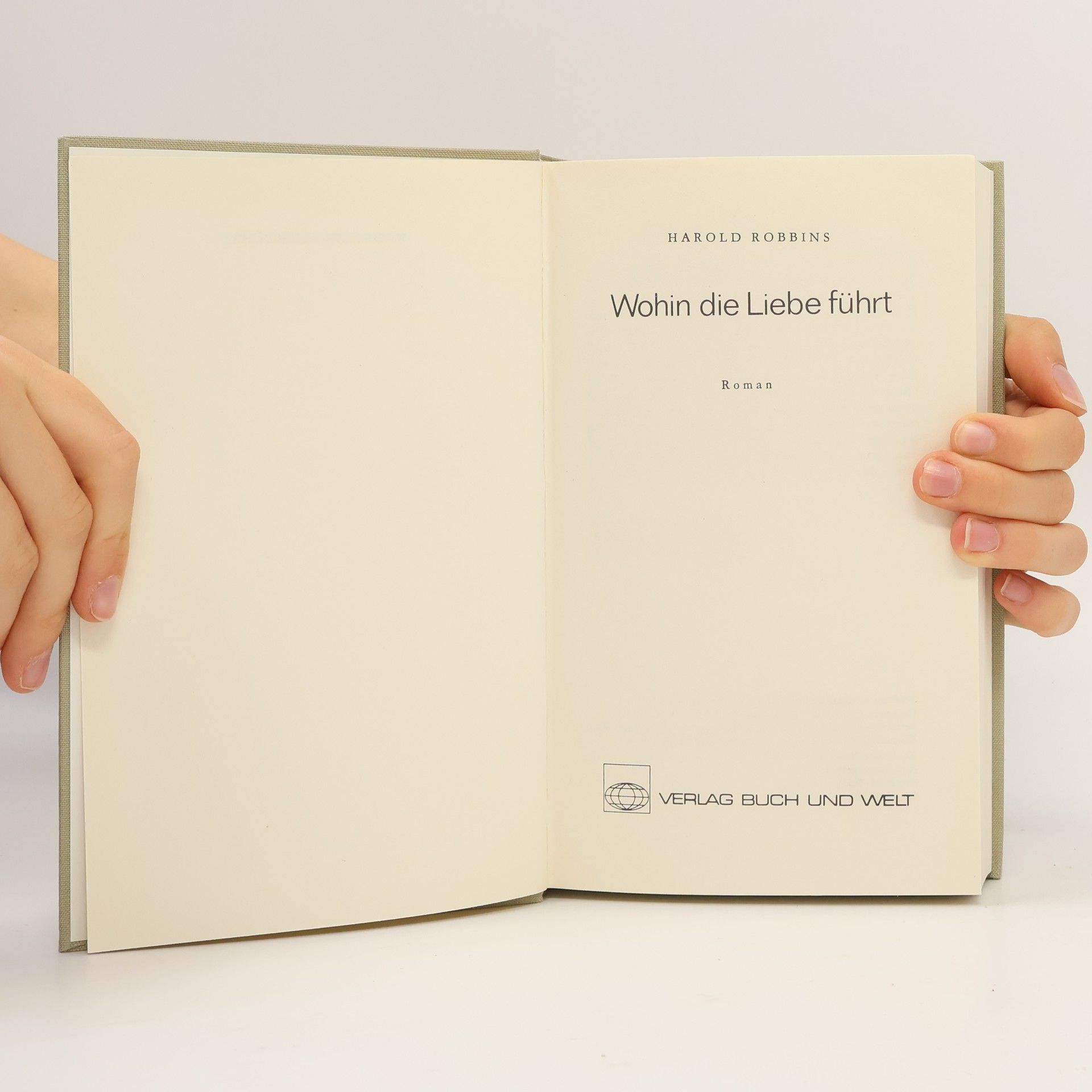 Harold Robbins Wohin die Liebe führt