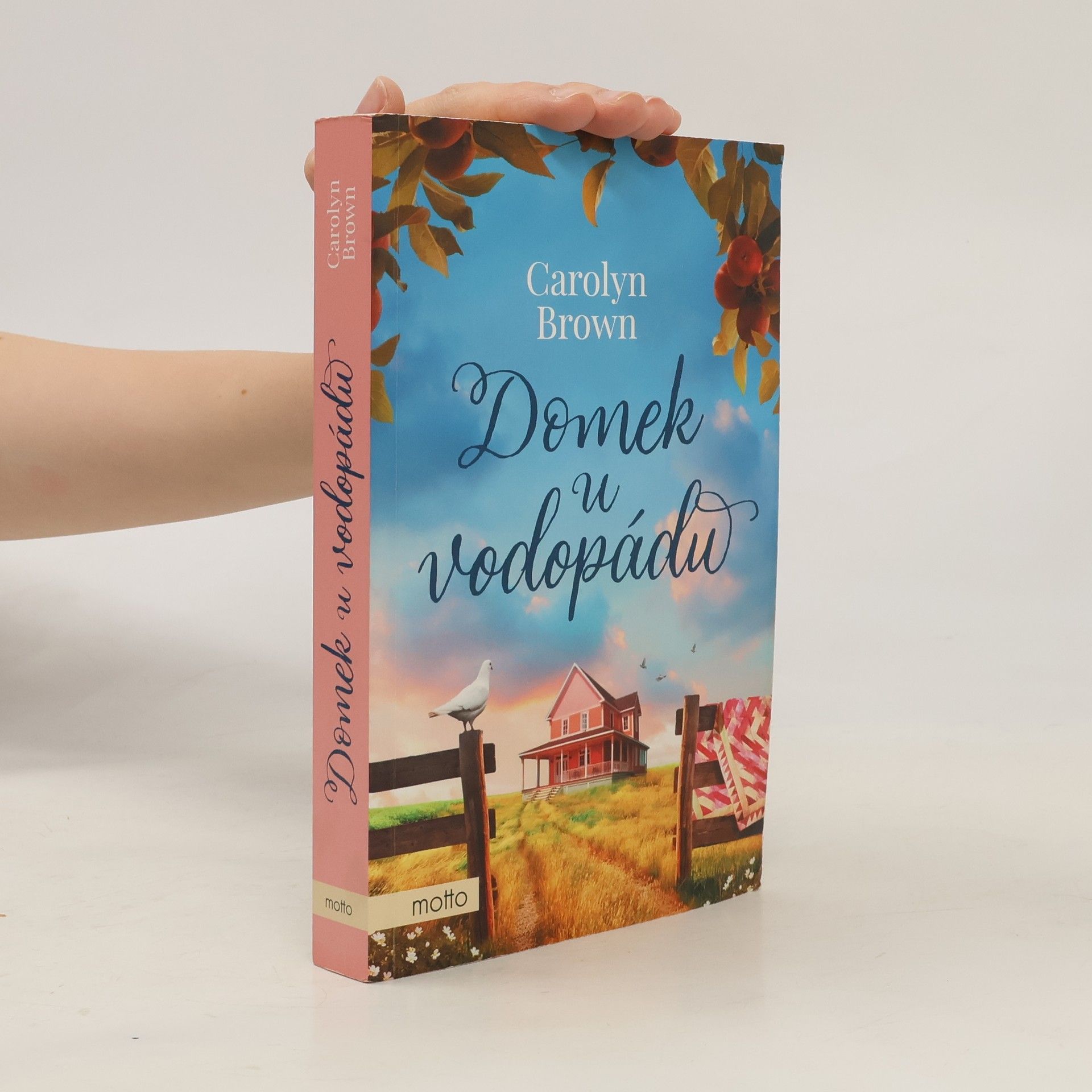 Carolyn Brown Domek u vodopádu