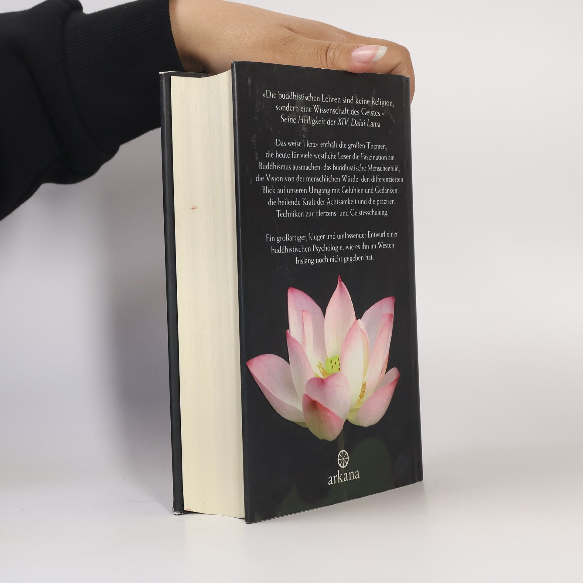 Jack Kornfield Das weise Herz