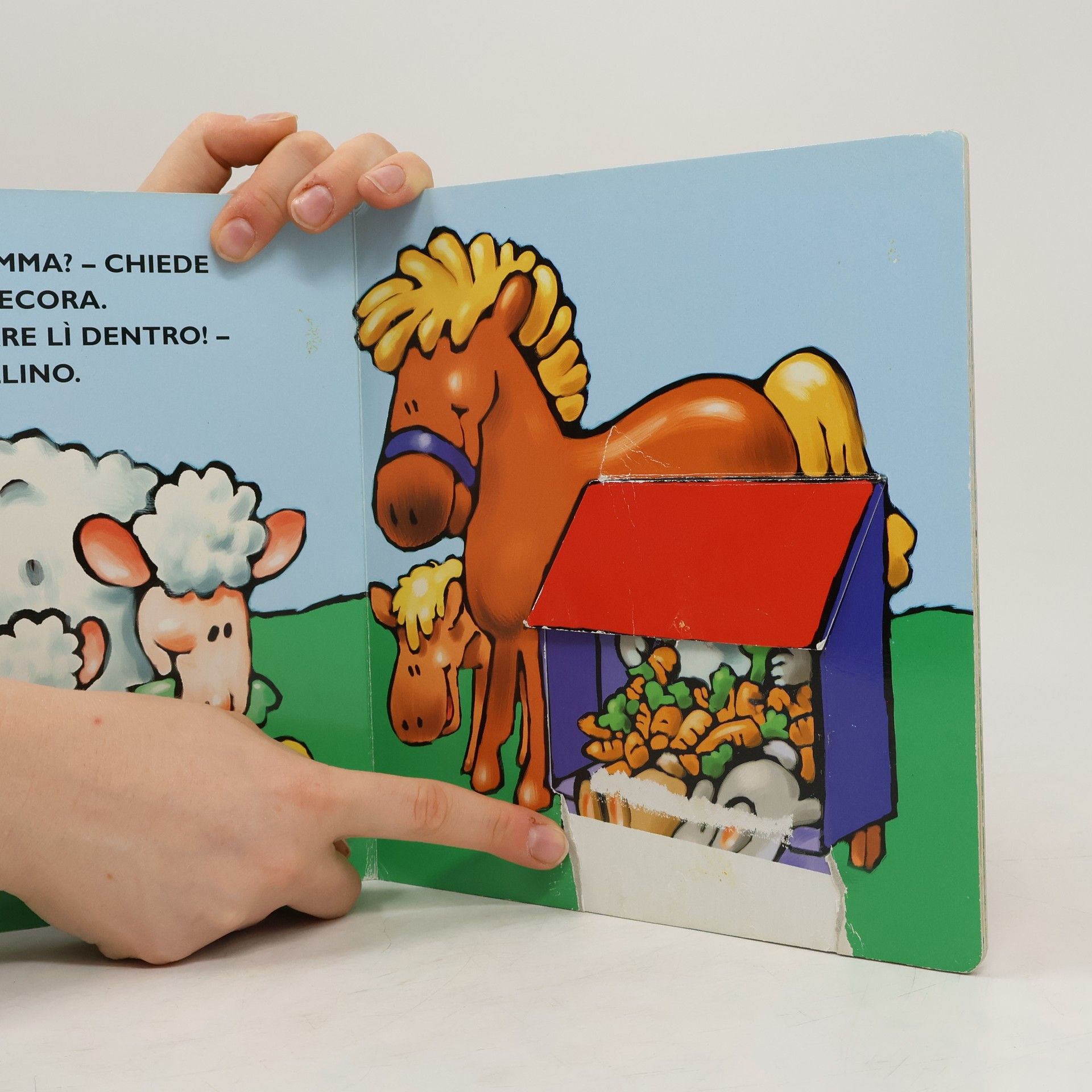 Matt Wolf I Libri del Pulcino a Finestrelle: Dov'è la mia mamma?