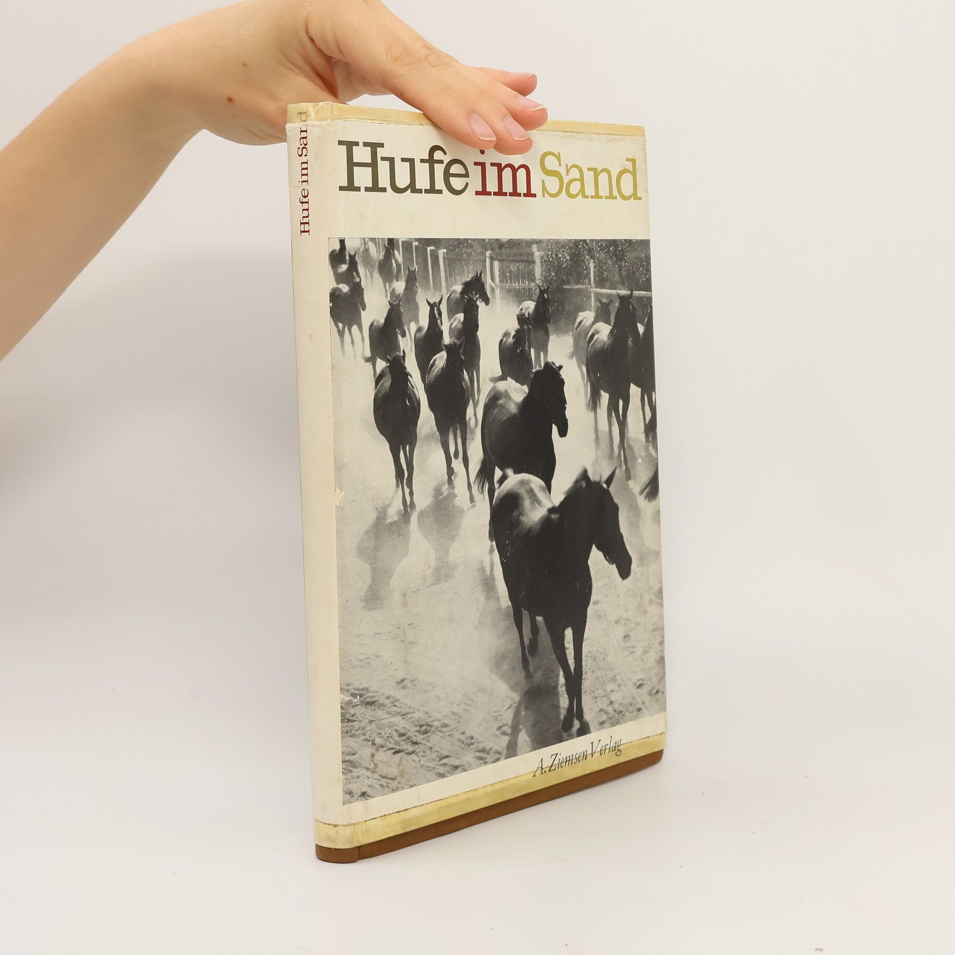 Autorenkollektiv Hufe im Sand