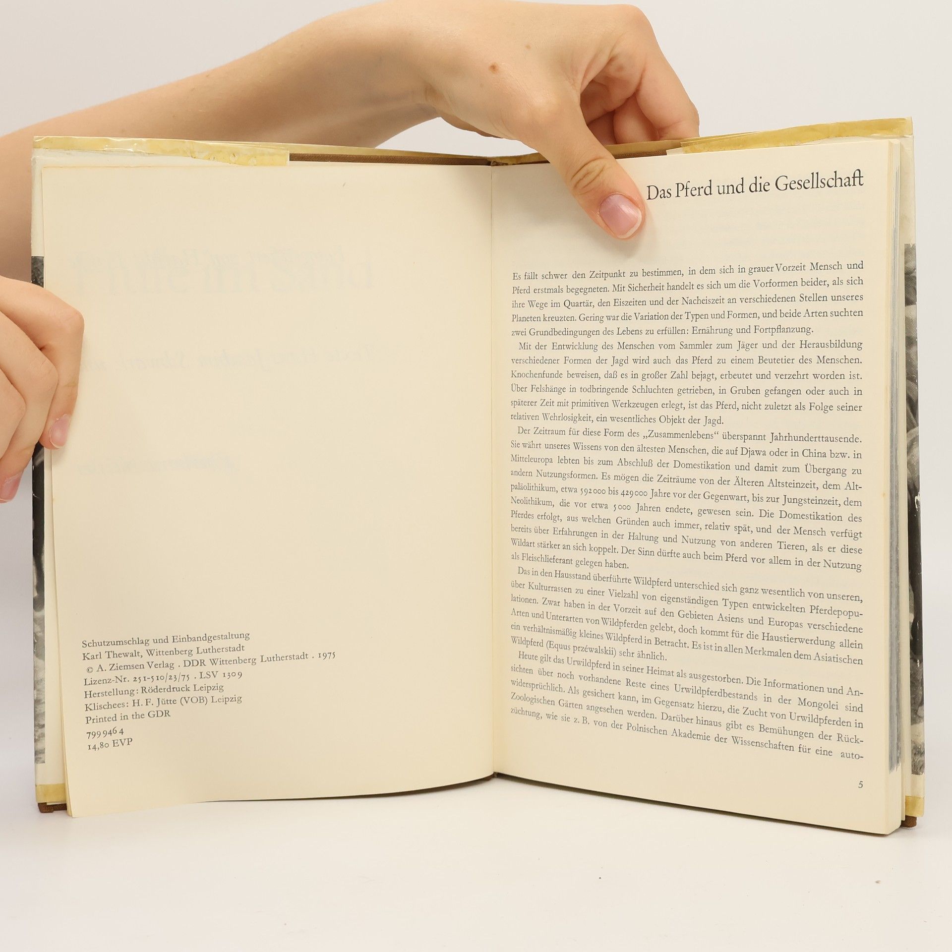 Autorenkollektiv Hufe im Sand