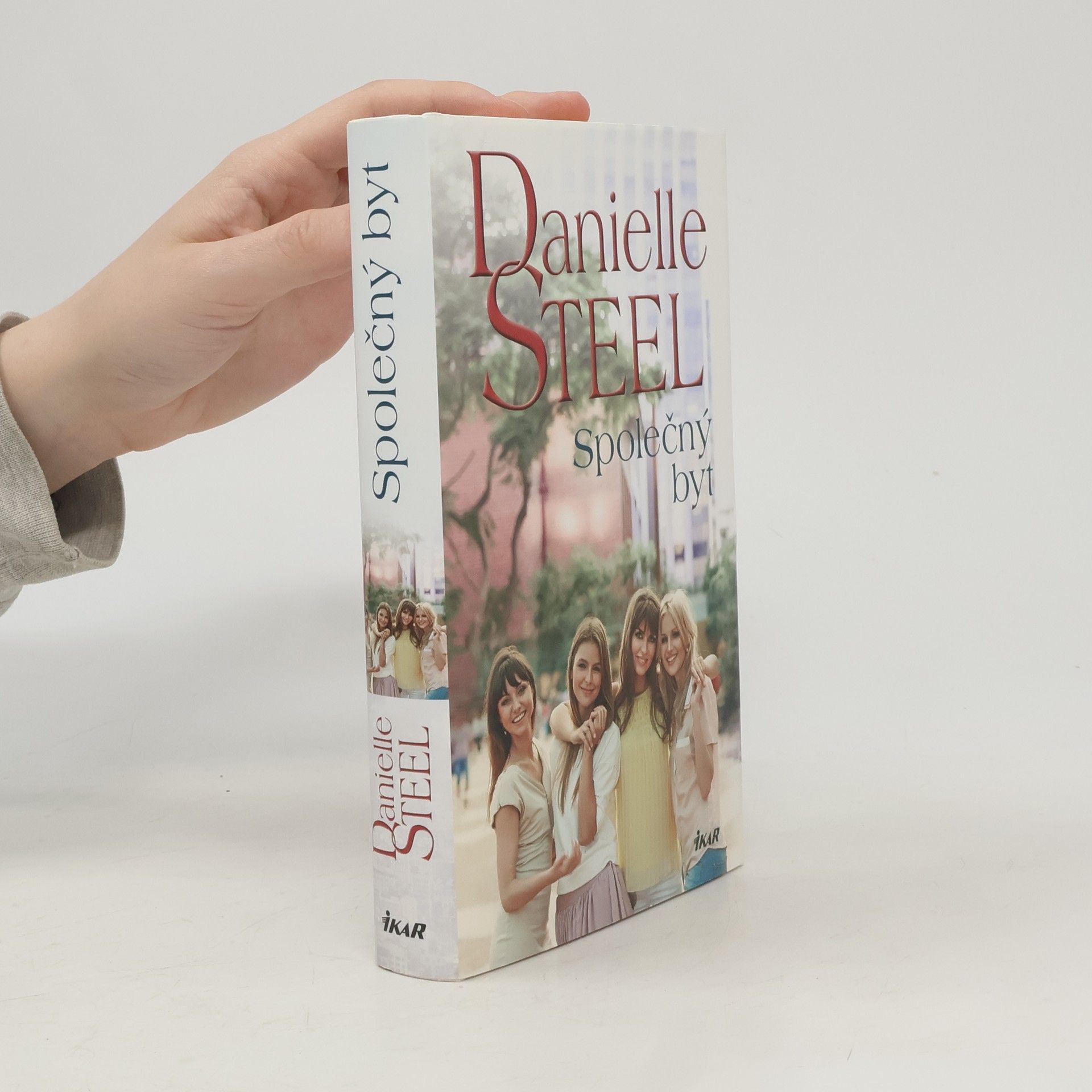 Danielle Steel Společný byt