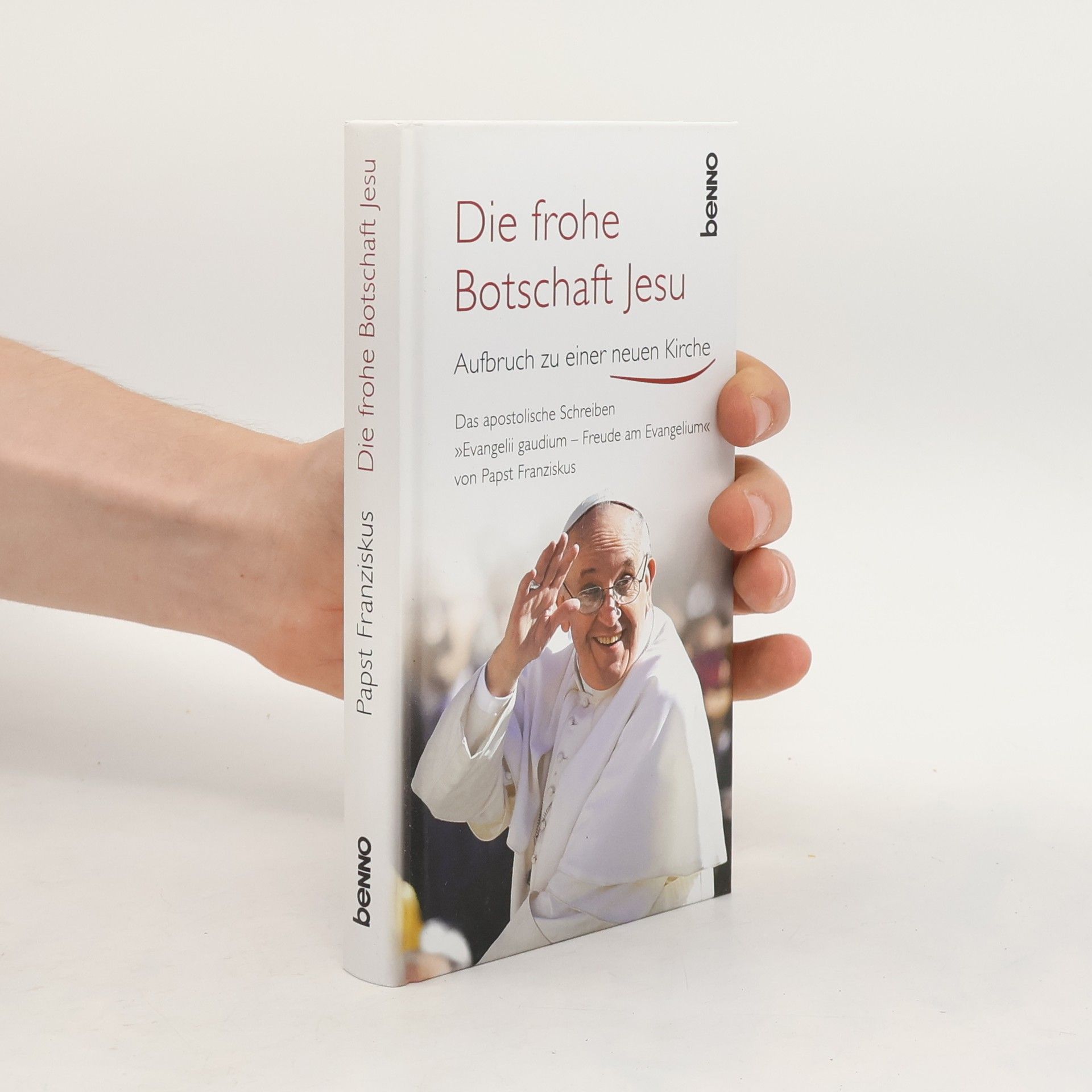 Papst Franziskus Die frohe Botschaft Jesu
