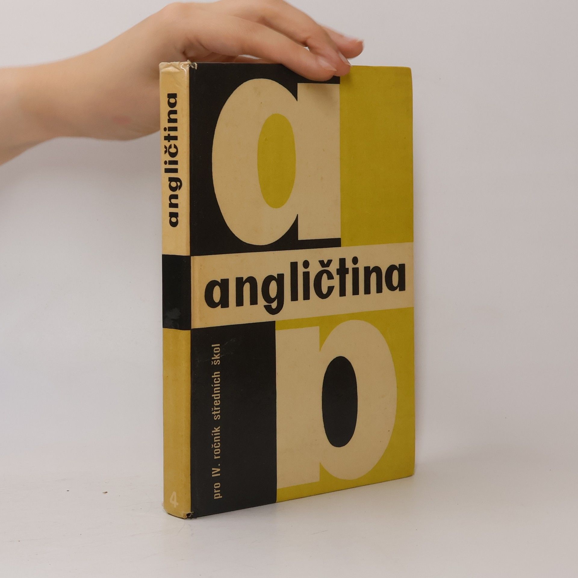 Autorenkollektiv Angličtina pro IV. ročník středních škol