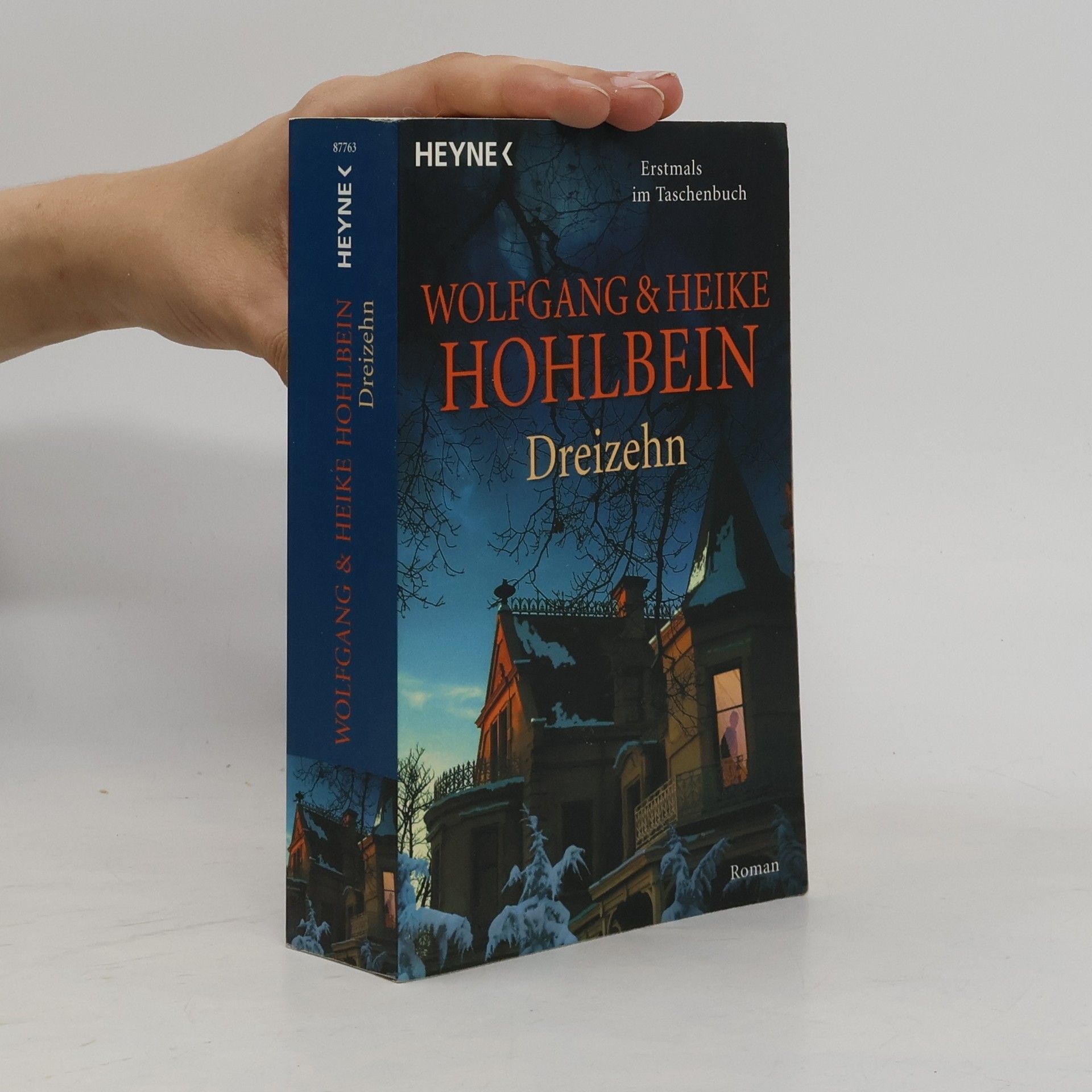 Wolfgang Hohlbein Dreizehn