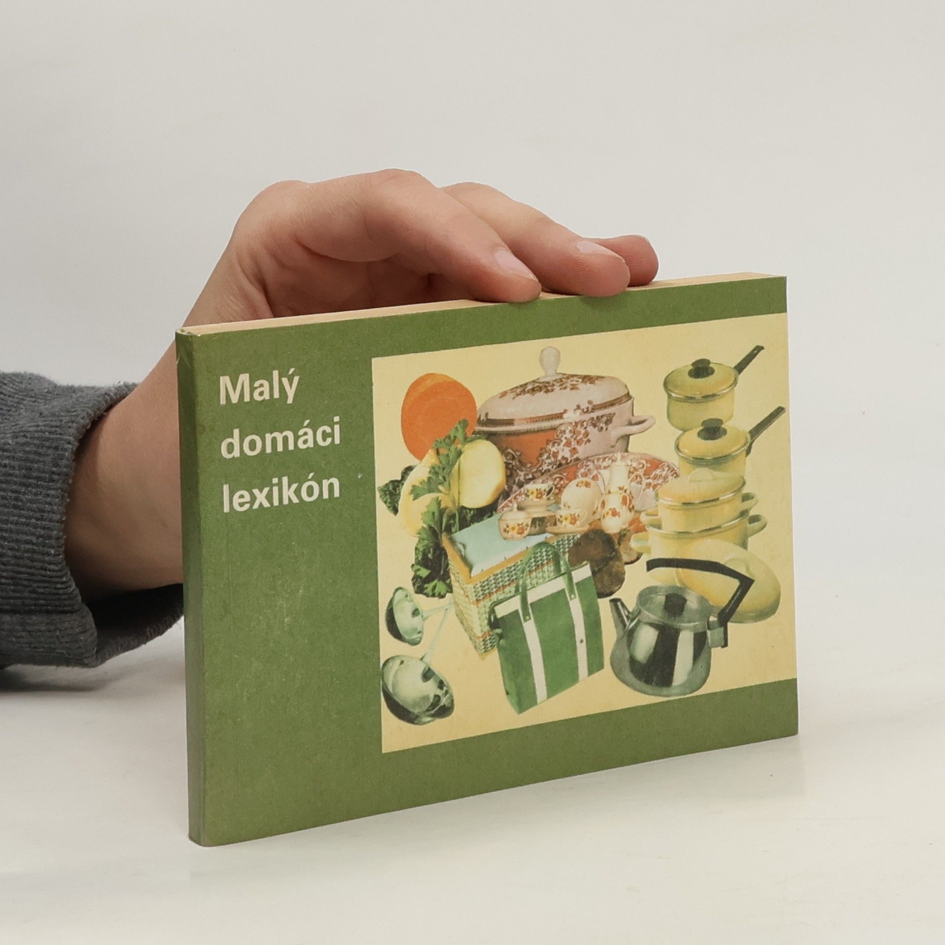Jiří Bílek Malý domáci lexikon