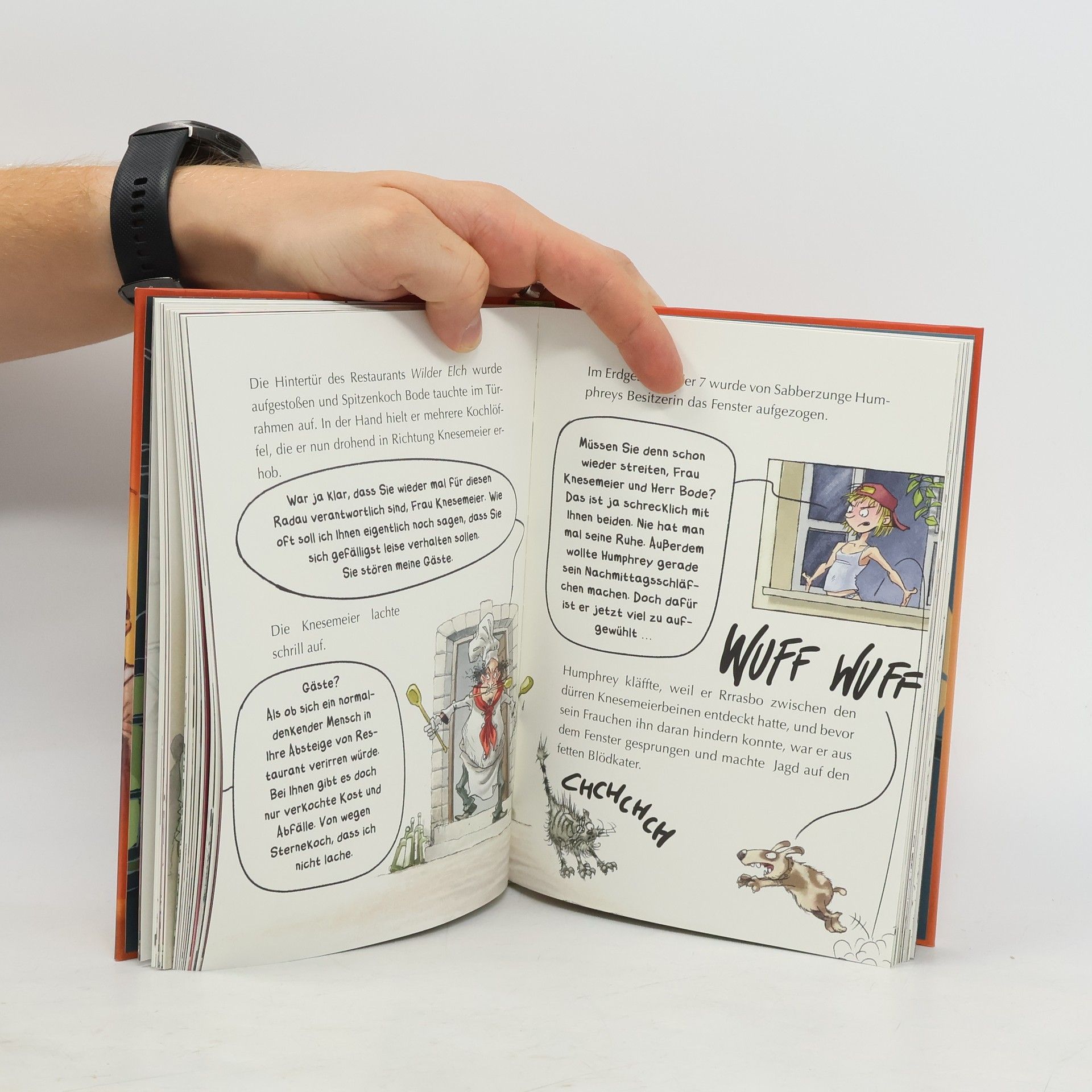 Antje Szillat Von Lehrern umzingelt / Flätscher Bd.6