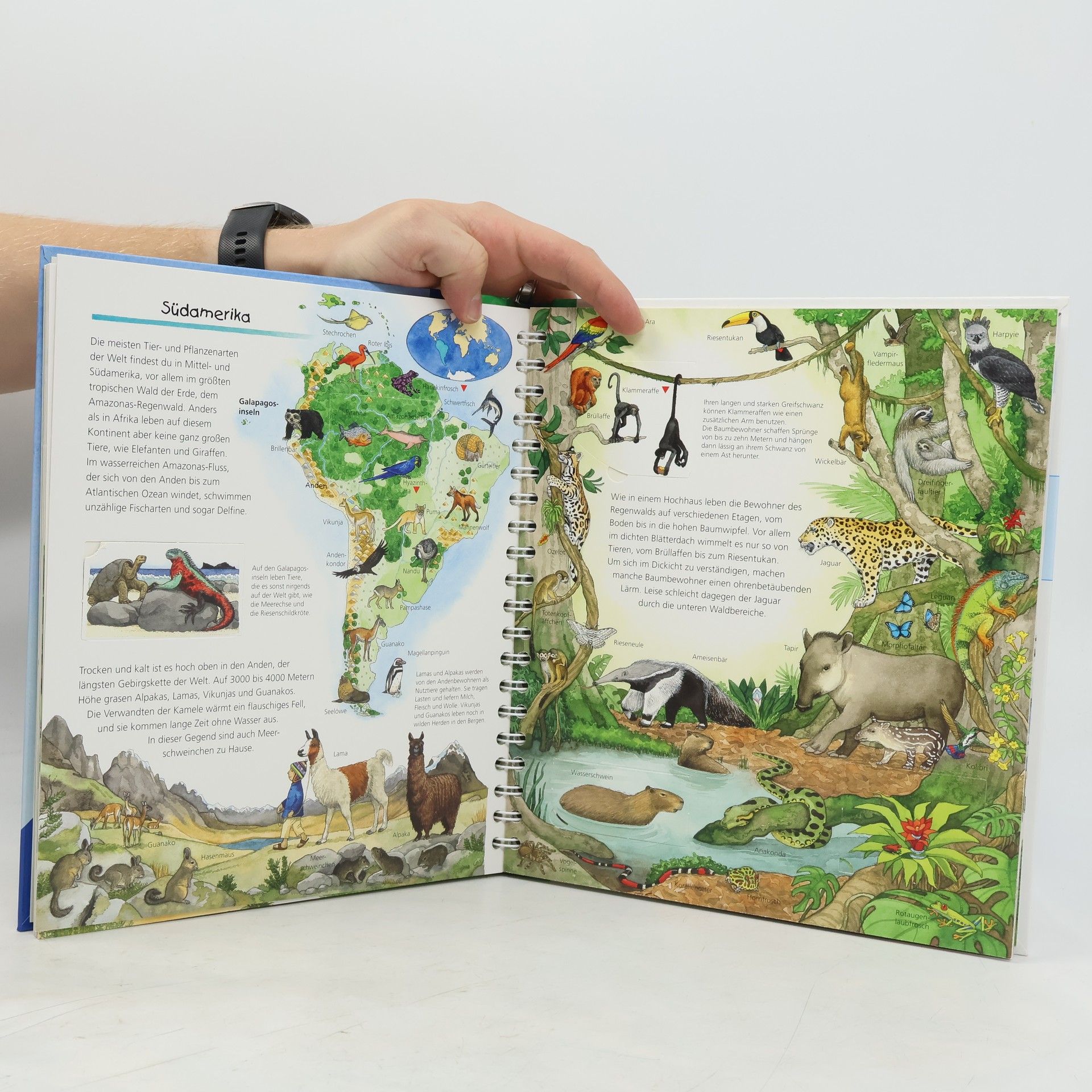 Auteurscollectief Mein großer Tieratlas