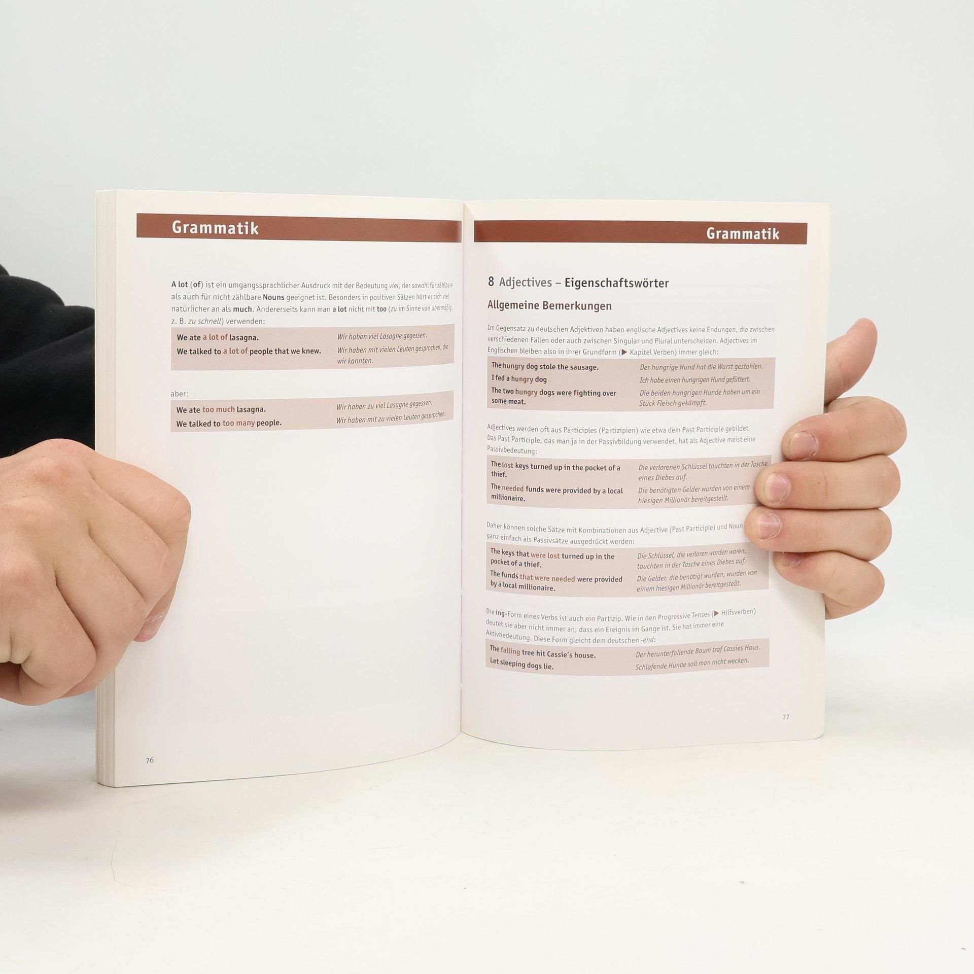 Darcy Br. Berry Schulgrammatik Englisch