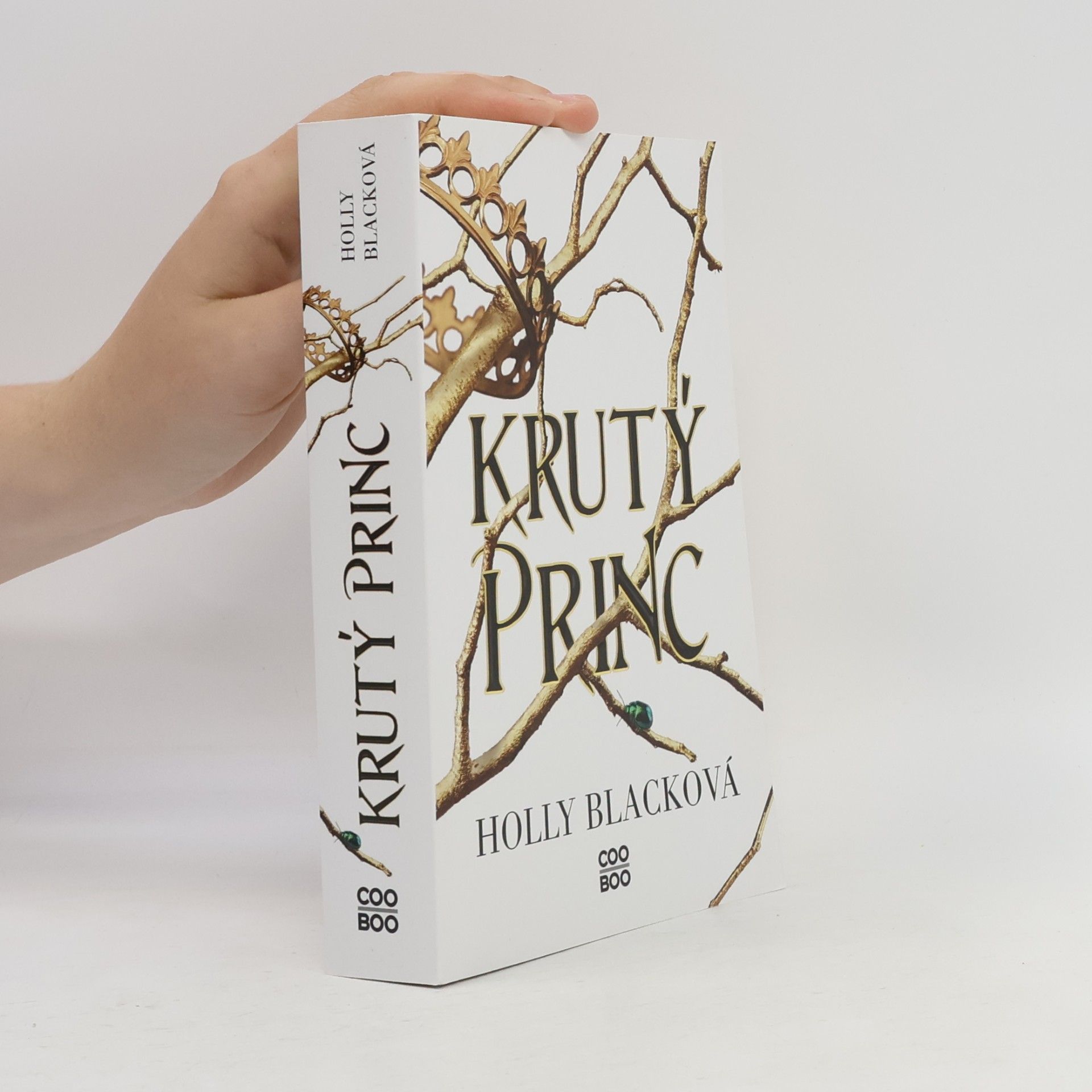 Holly Black Krutý princ