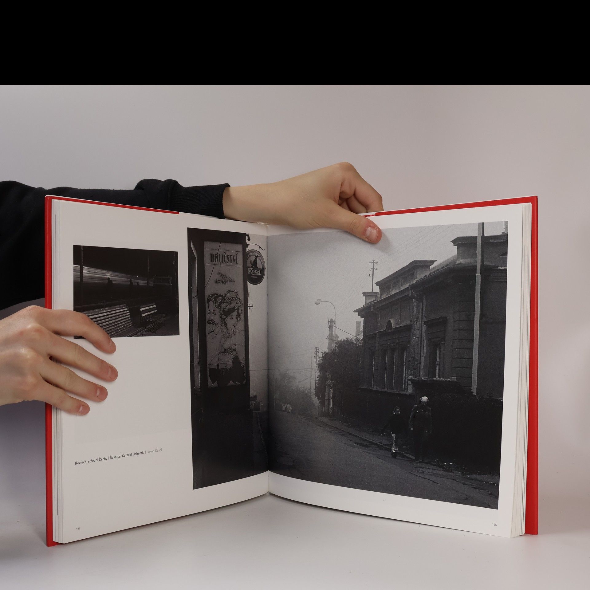 Pavel Radosta Jeden den České republiky = A picture chronicle of a day in the Czech Republic