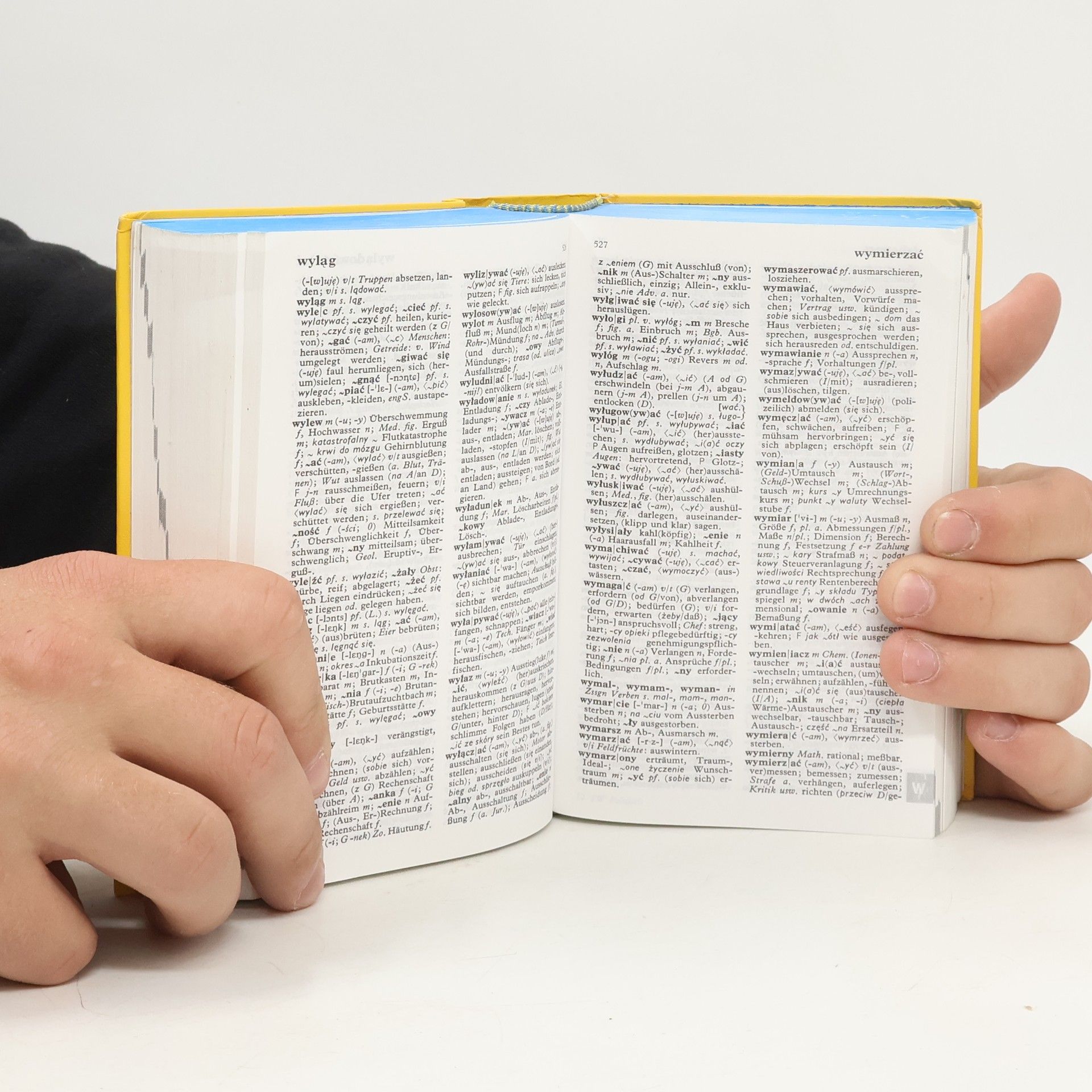 Stanisřaw Walewski Langenscheidts Taschenwörterbuch Polnisch