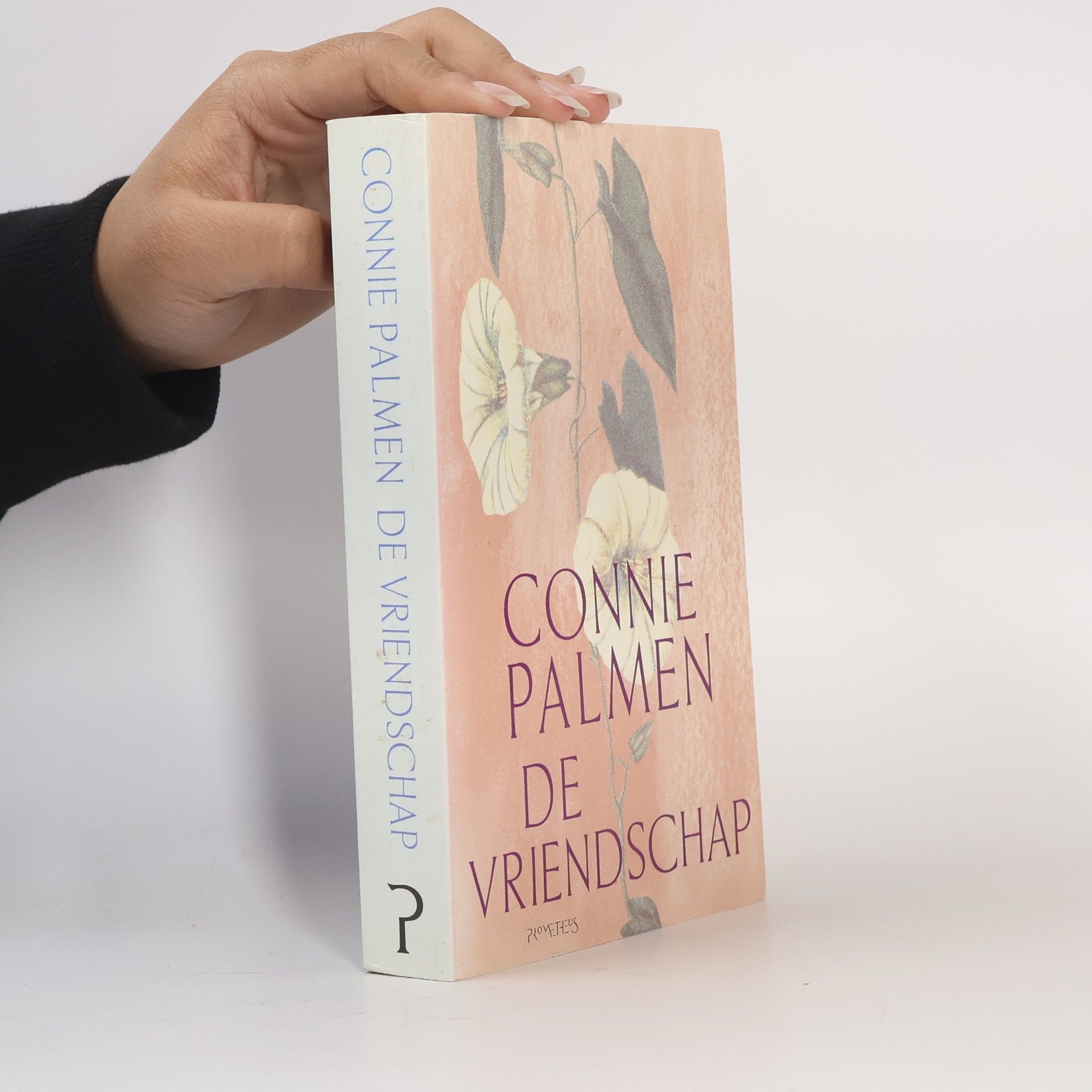 Connie Palmen De vriendschap