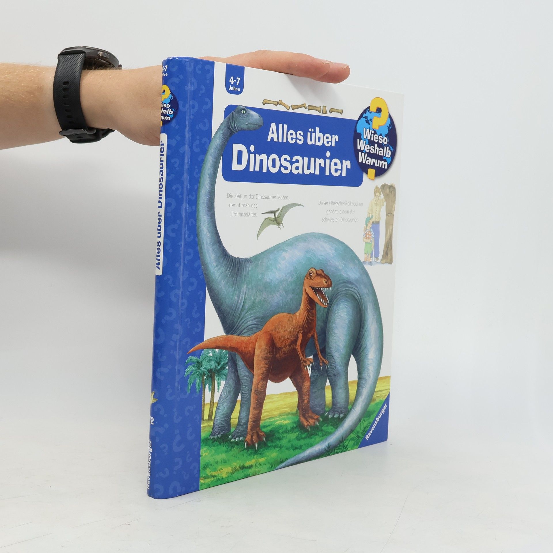 Autorenkollektiv Alles über Dinosaurier