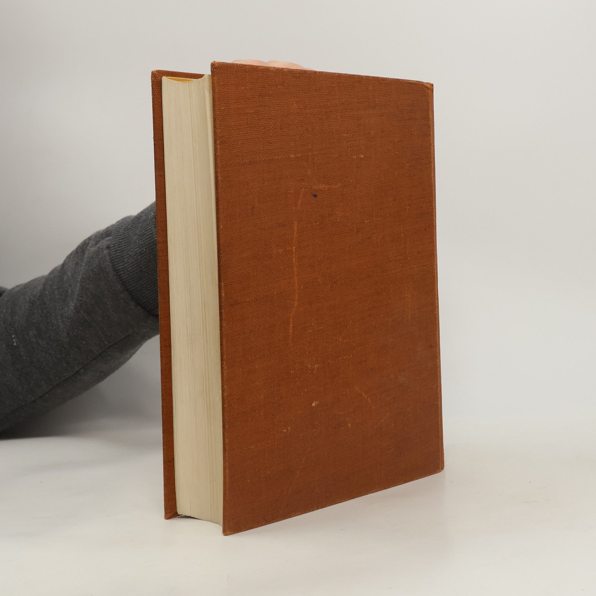 Richard Hamann Geschichte der Kunst