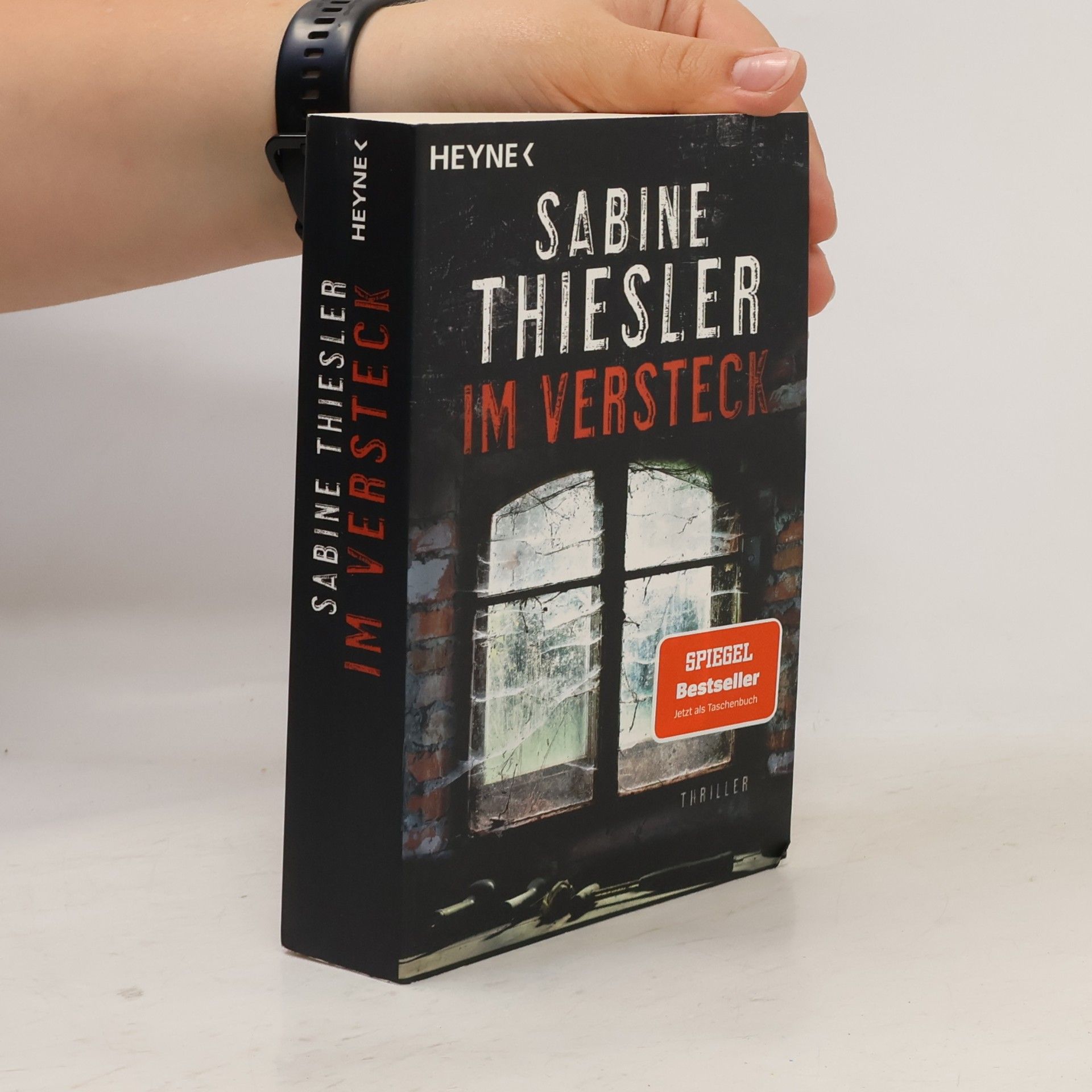 Sabine Thiesler Im Versteck