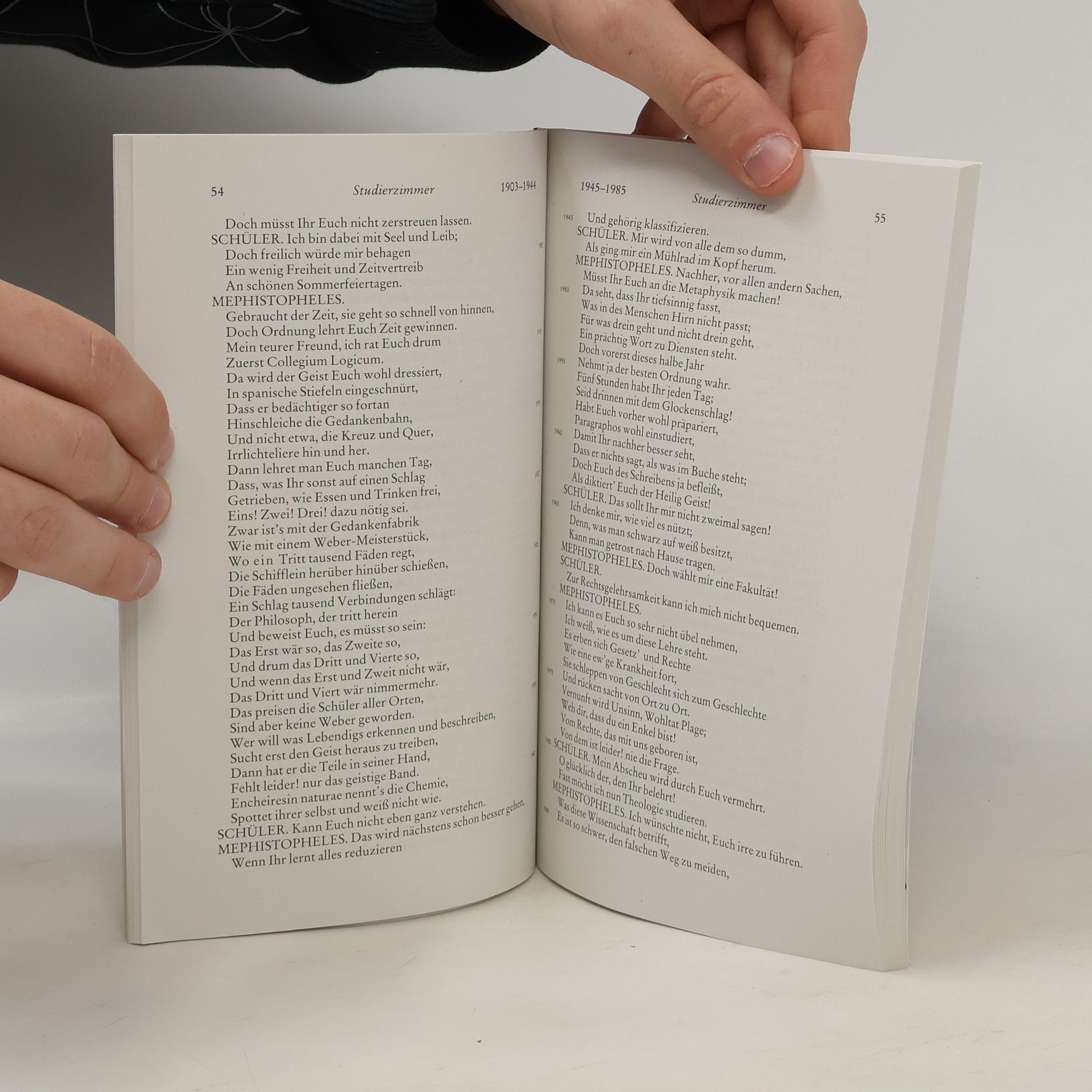 Johann Wolfgang von Goethe Faust (Erster Teil)