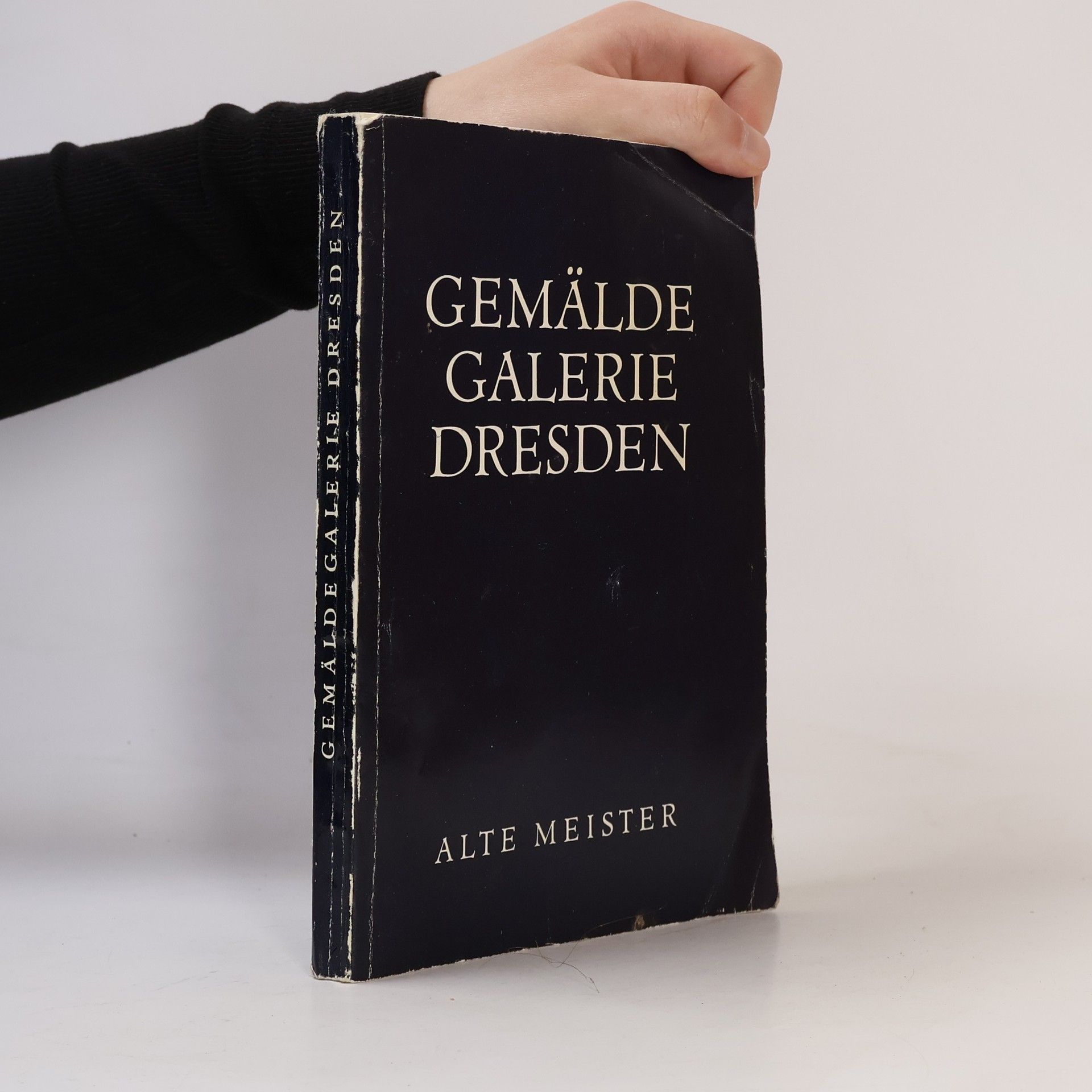 Alte Meister Gemälde Galerie Dresden