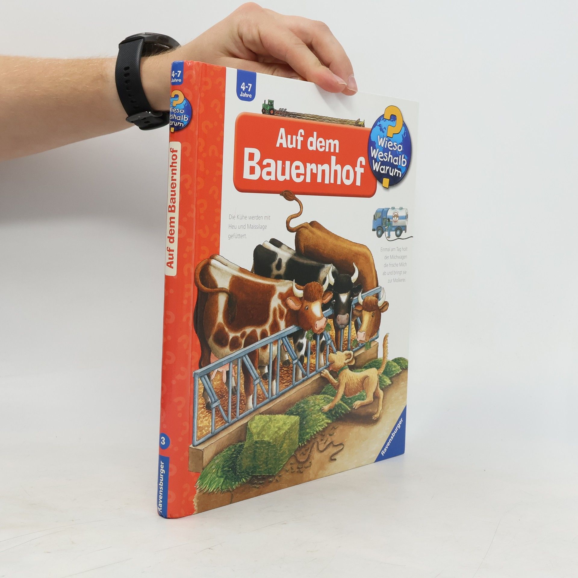 Constanza Droop Auf dem Bauernhof