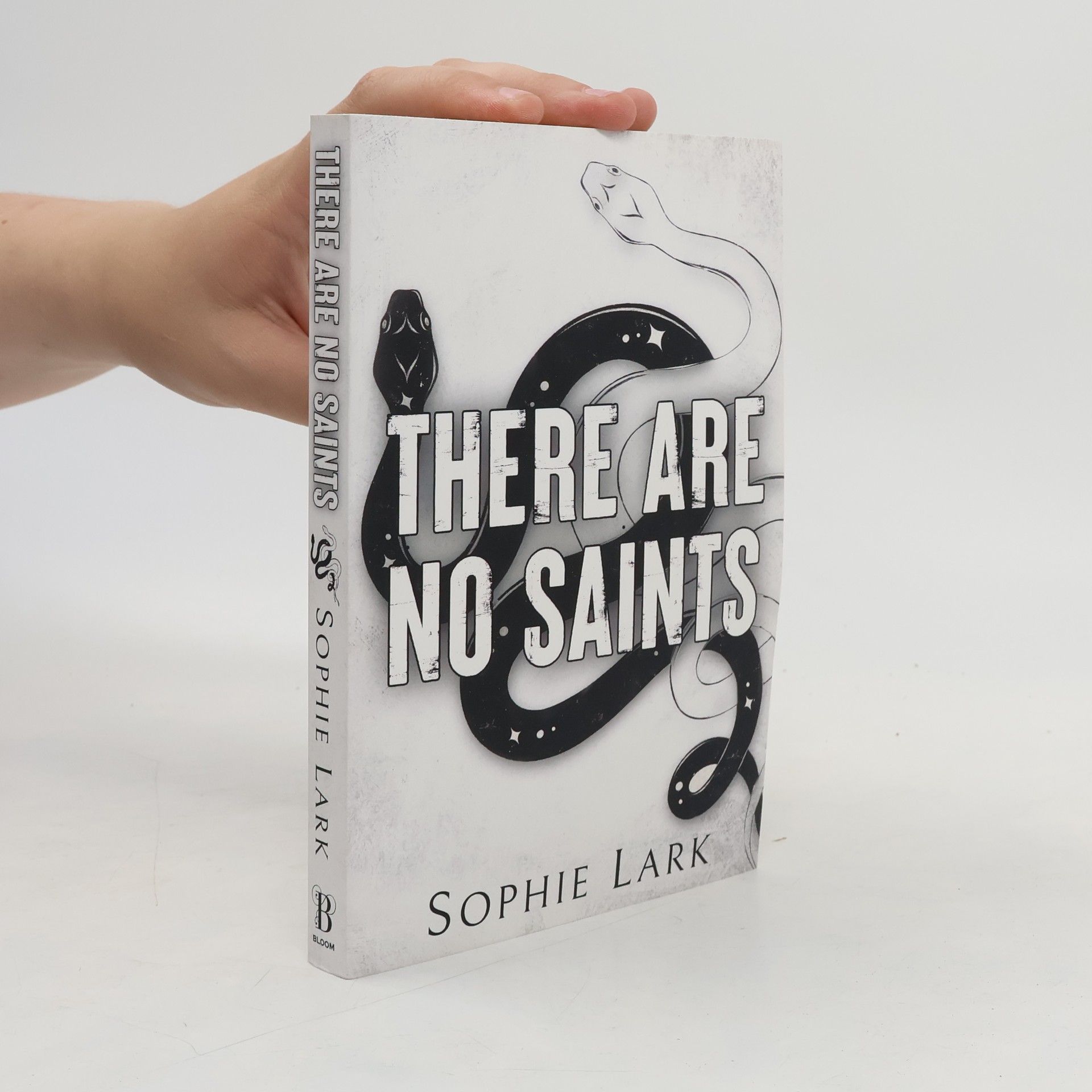 Sophie Lark There Are No Saints