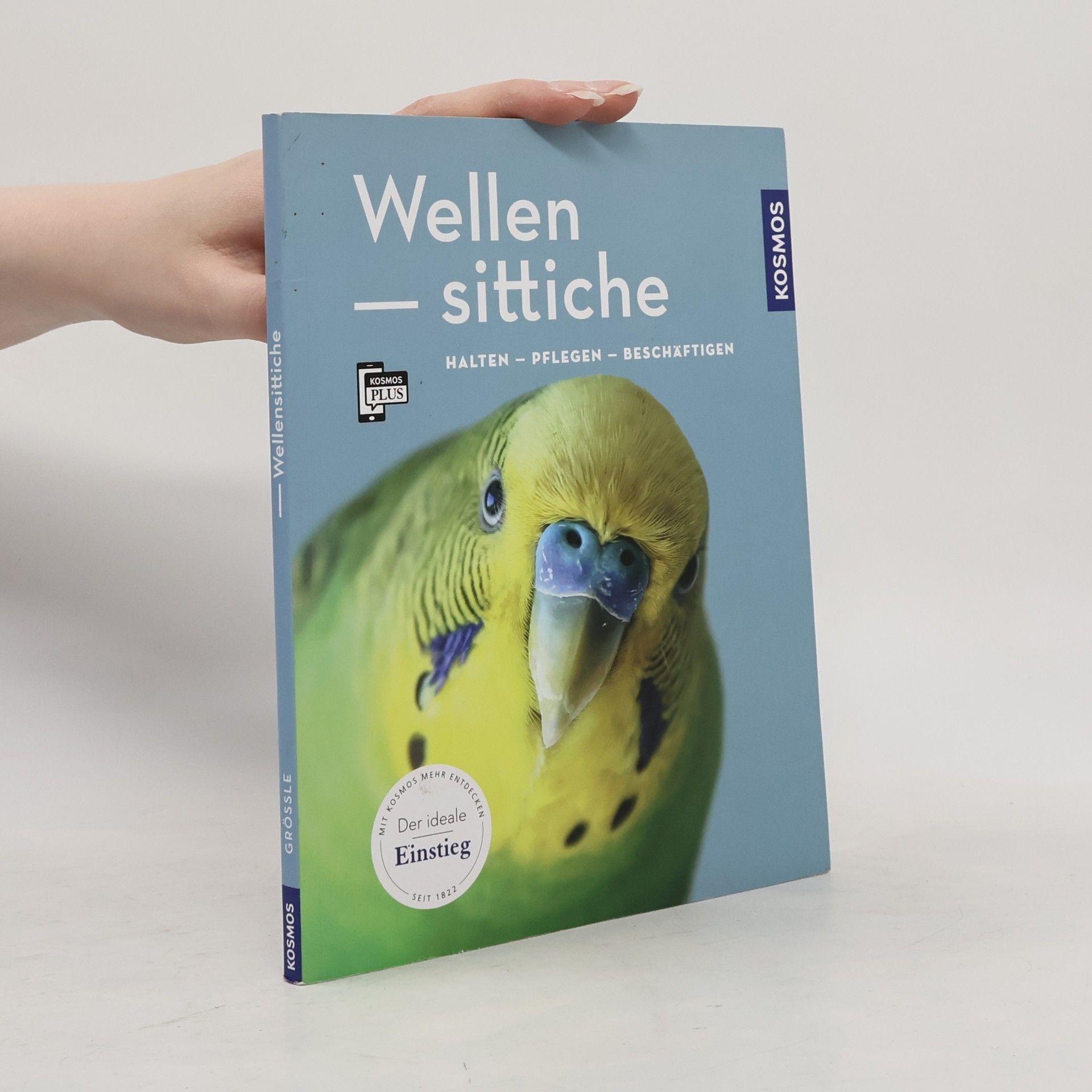 Bernhard Größle Wellensittiche