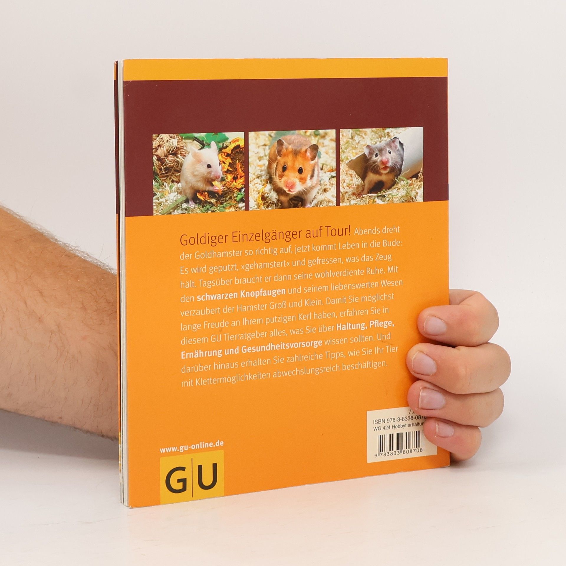 Peter Fritzsche Goldhamster