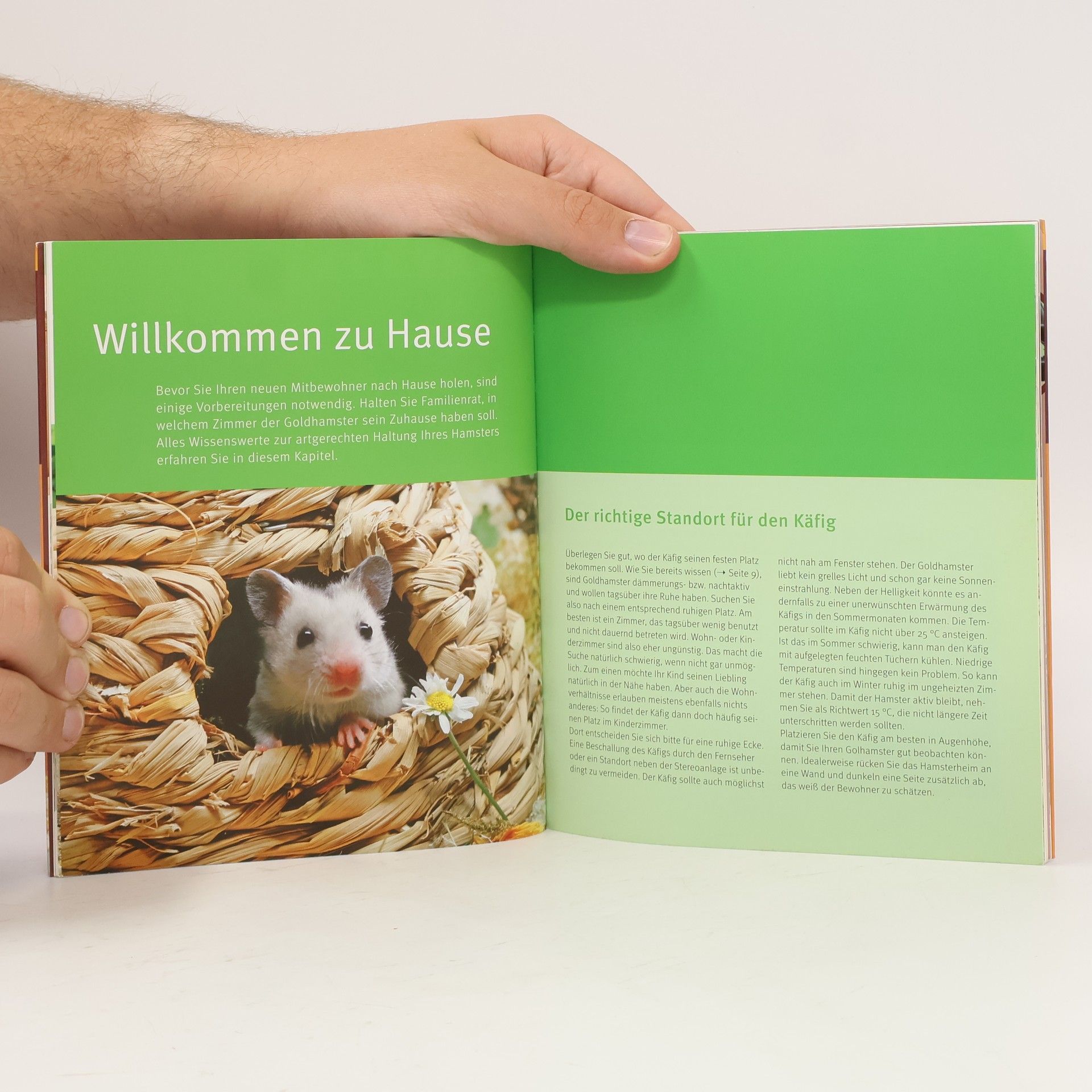 Peter Fritzsche Goldhamster