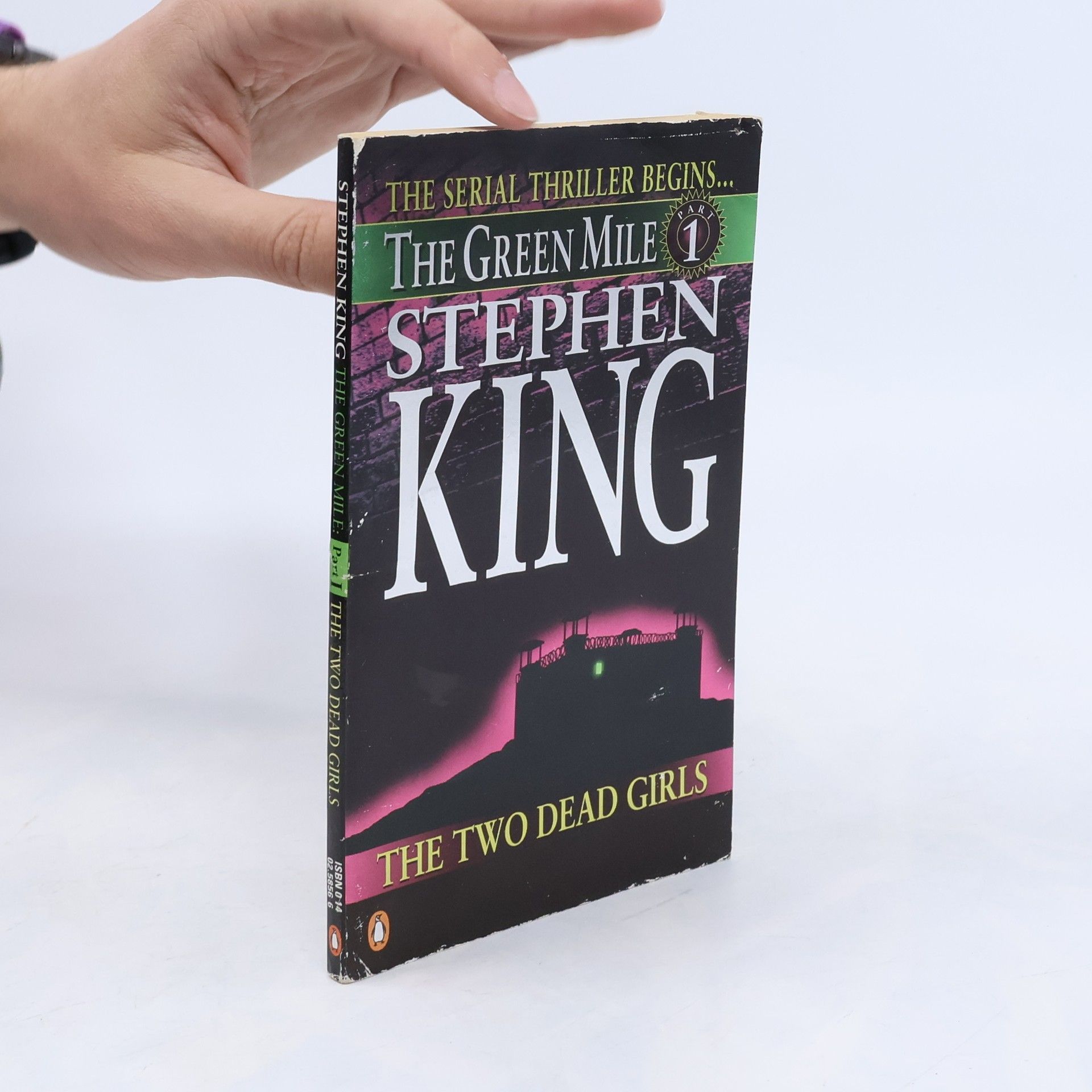 Stephen King The Two Dead Girls