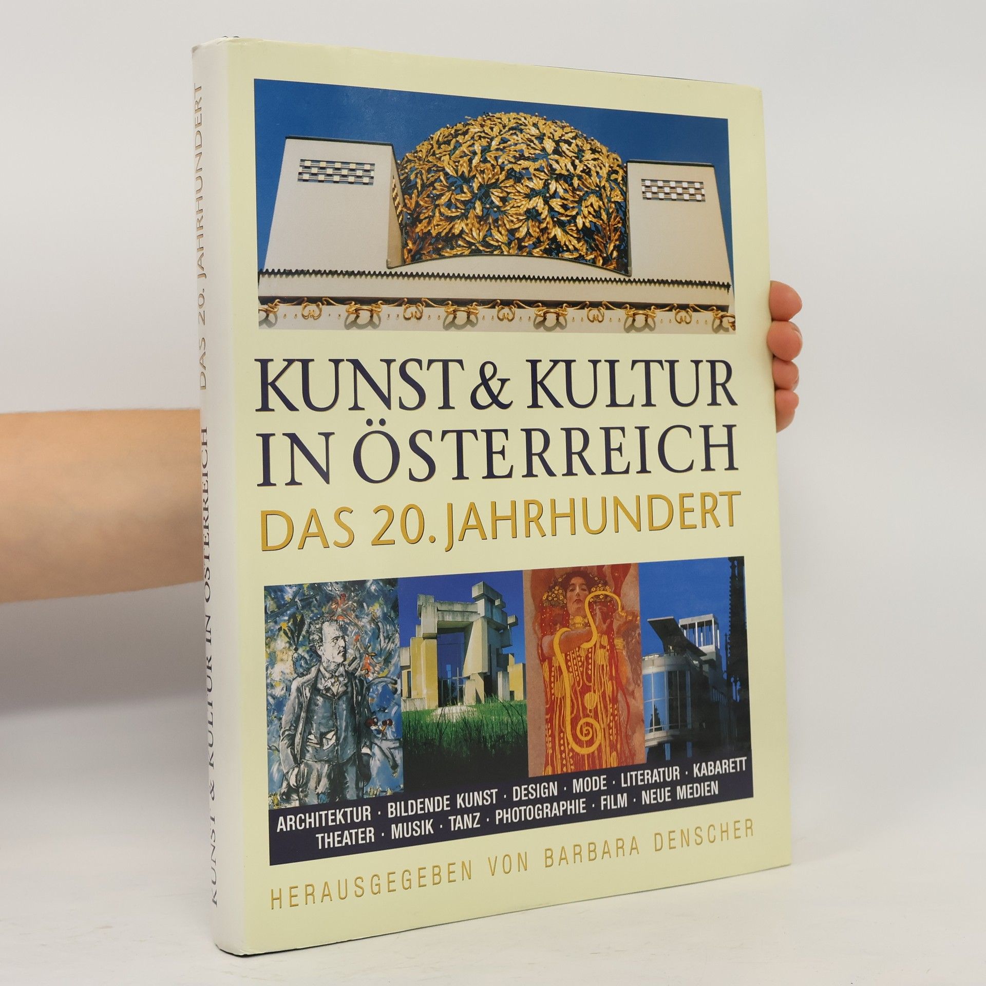 Barbara Denscher Kunst & Kultur in Österreich das 20. Jahrhundert