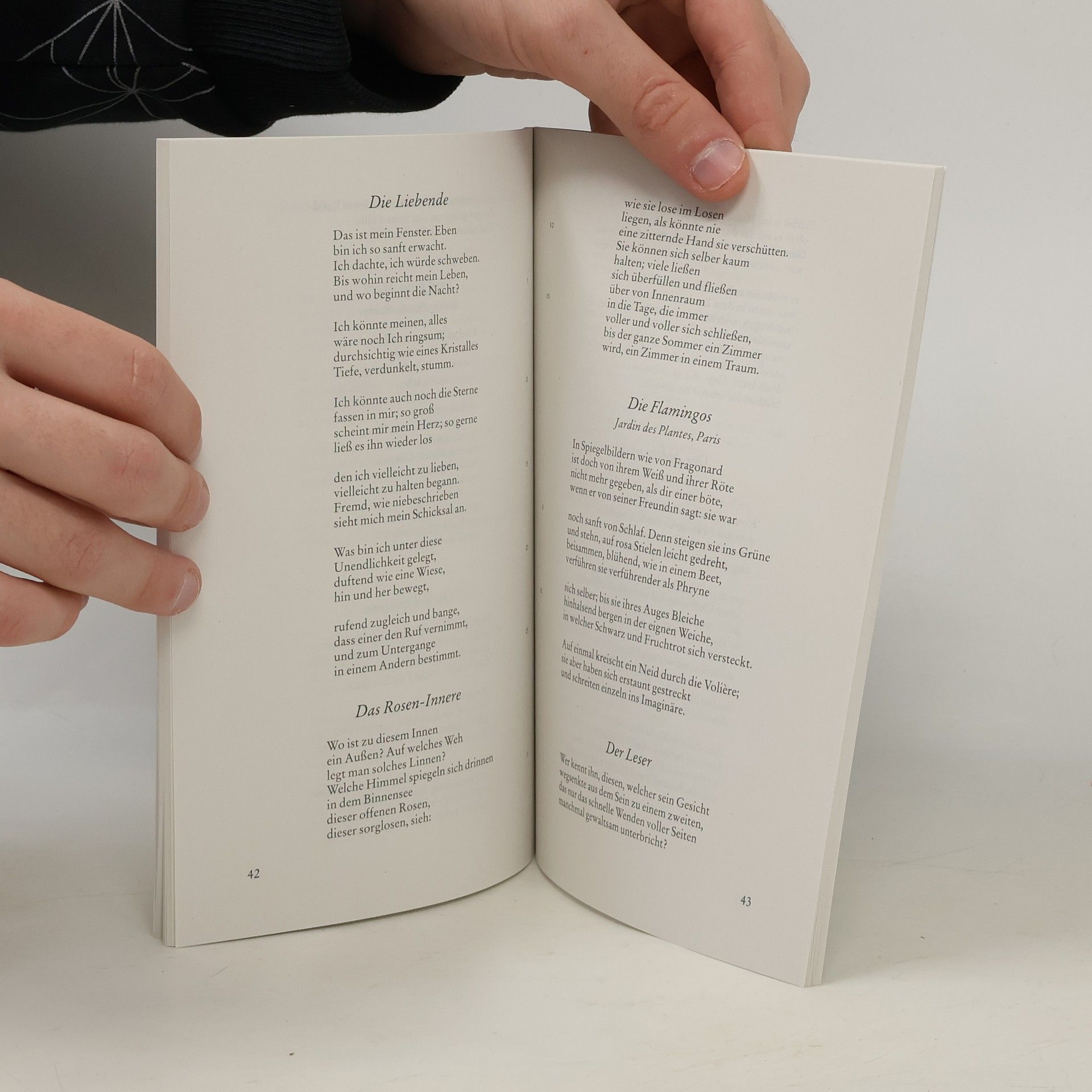 Rainer Maria Rilke Gedichte