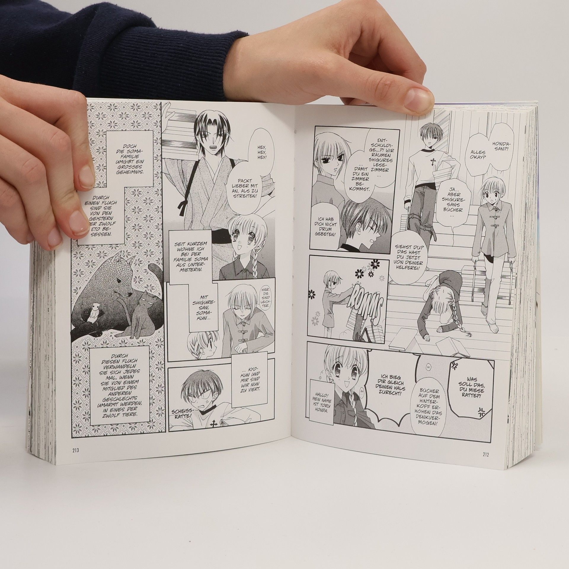 Natsuki Takaya Fruits basket 1