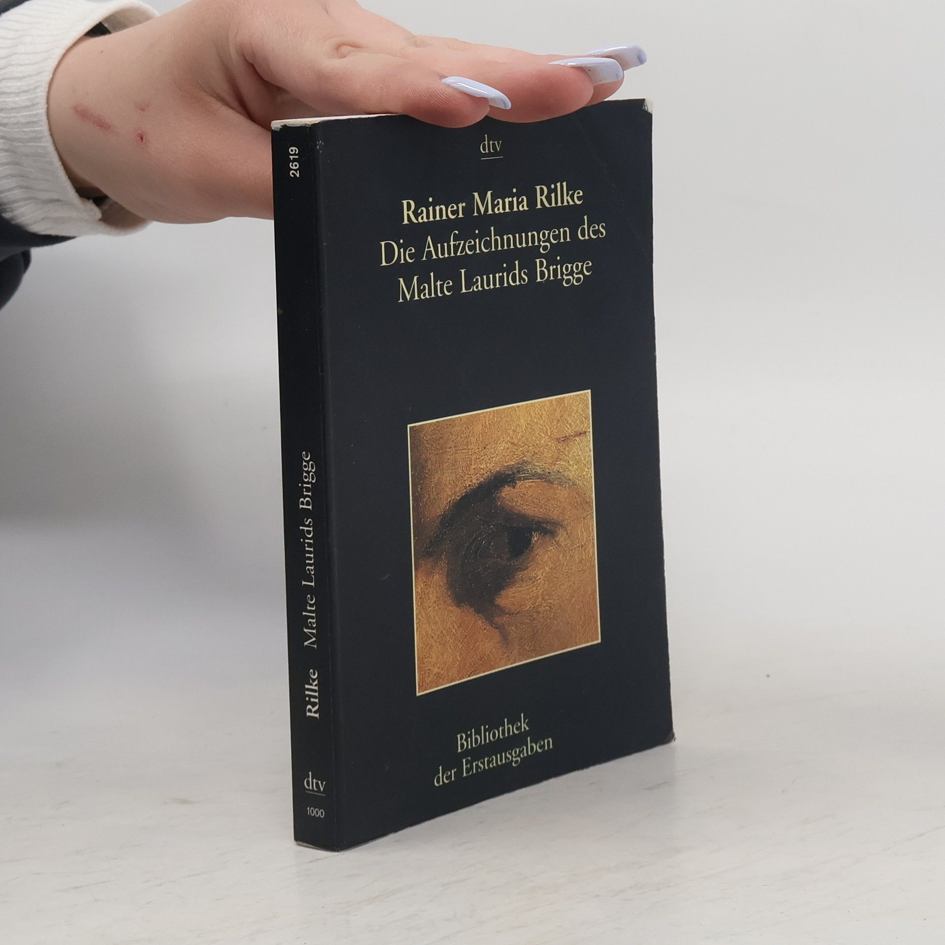 Rainer Maria Rilke Die Aufzeichnungen des Malte Laurids Brigge