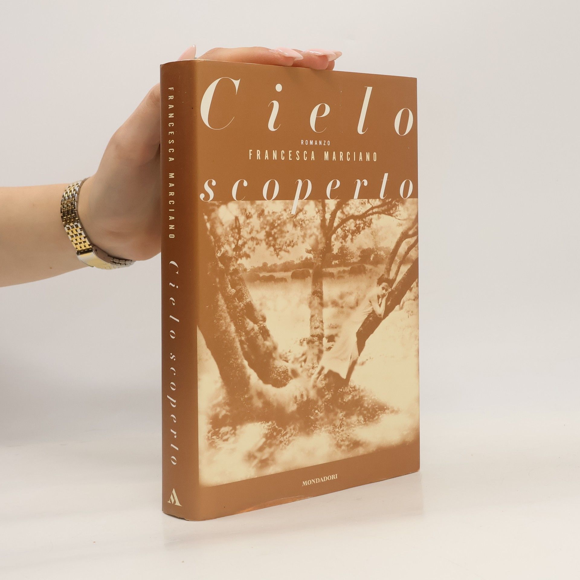 Francesca Marciano Cielo scoperto