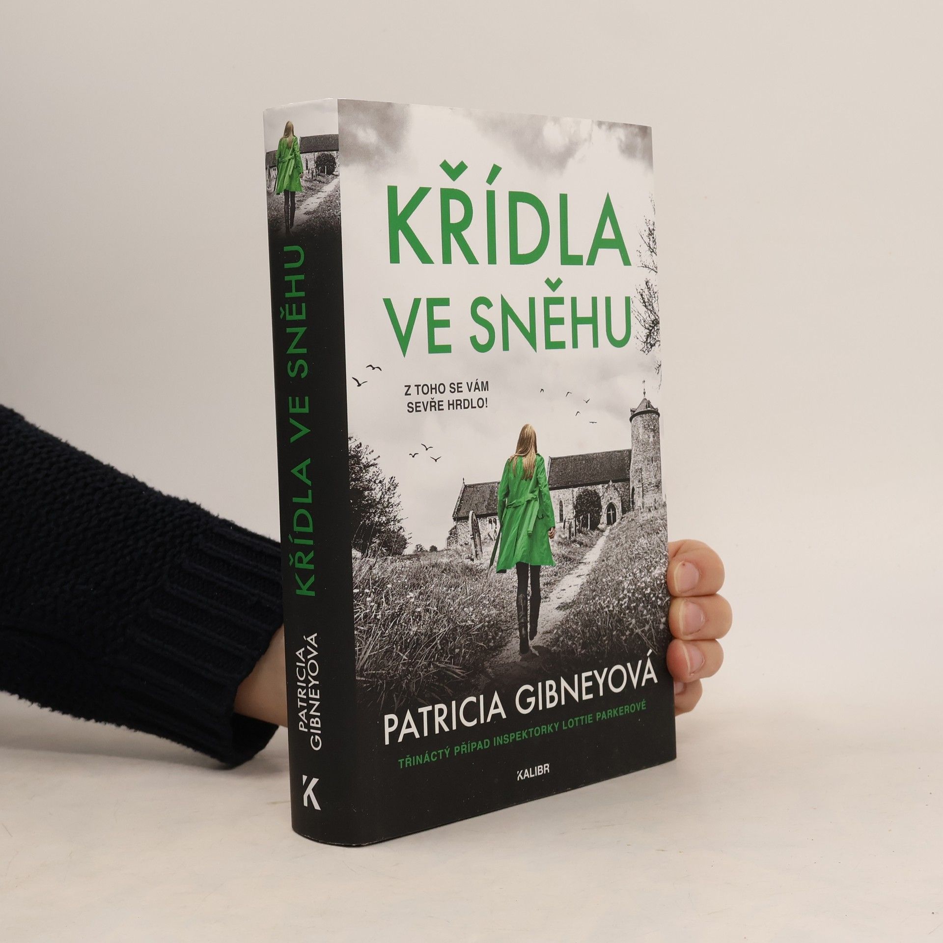Patricia Gibney Křídla ve sněhu