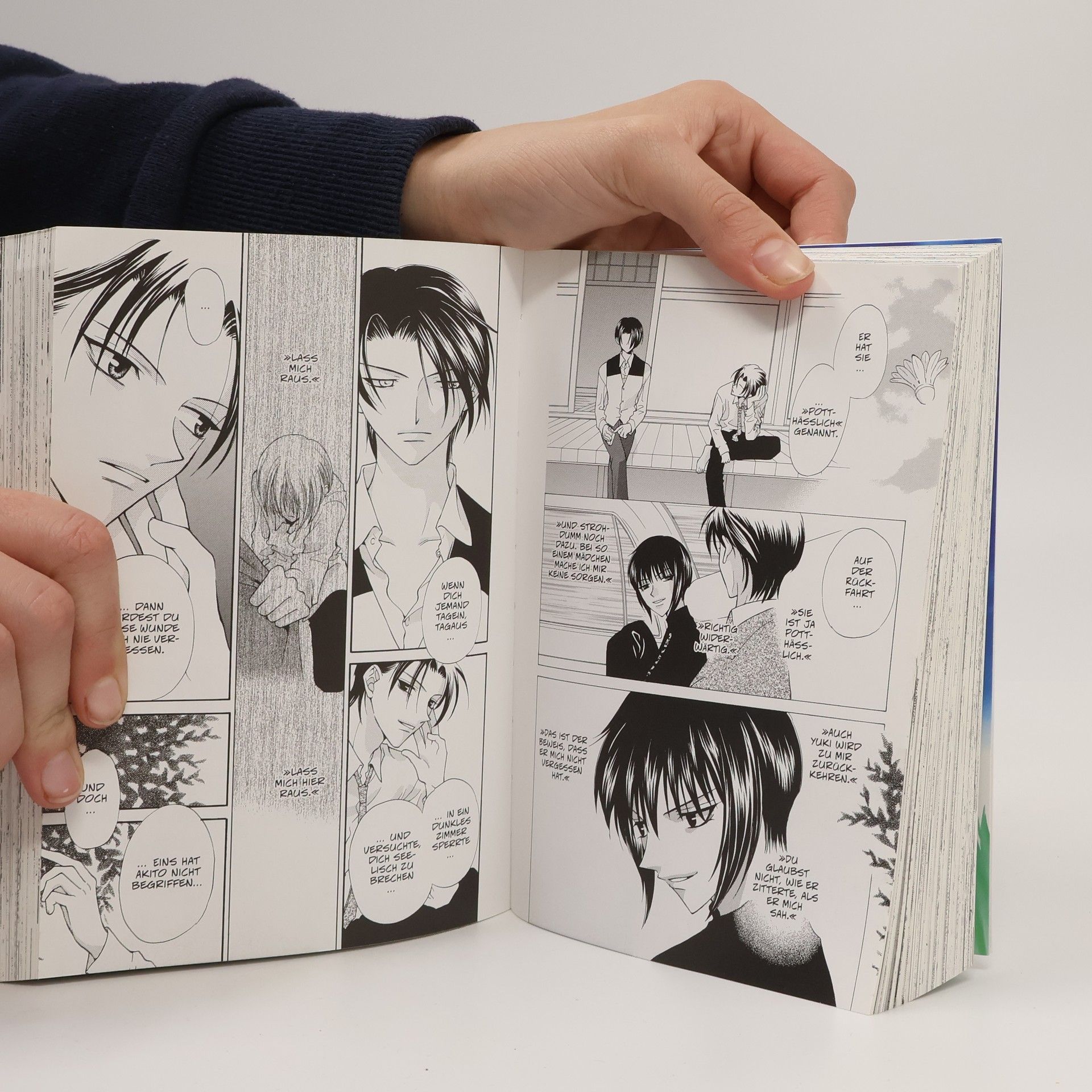 Natsuki Takaya FRUITS BASKET Pearls 2