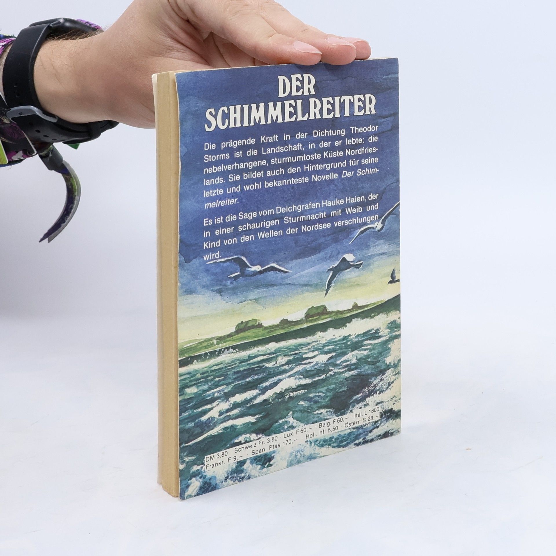 Hans Theodor Woldsen Storm Der Schimmelreiter