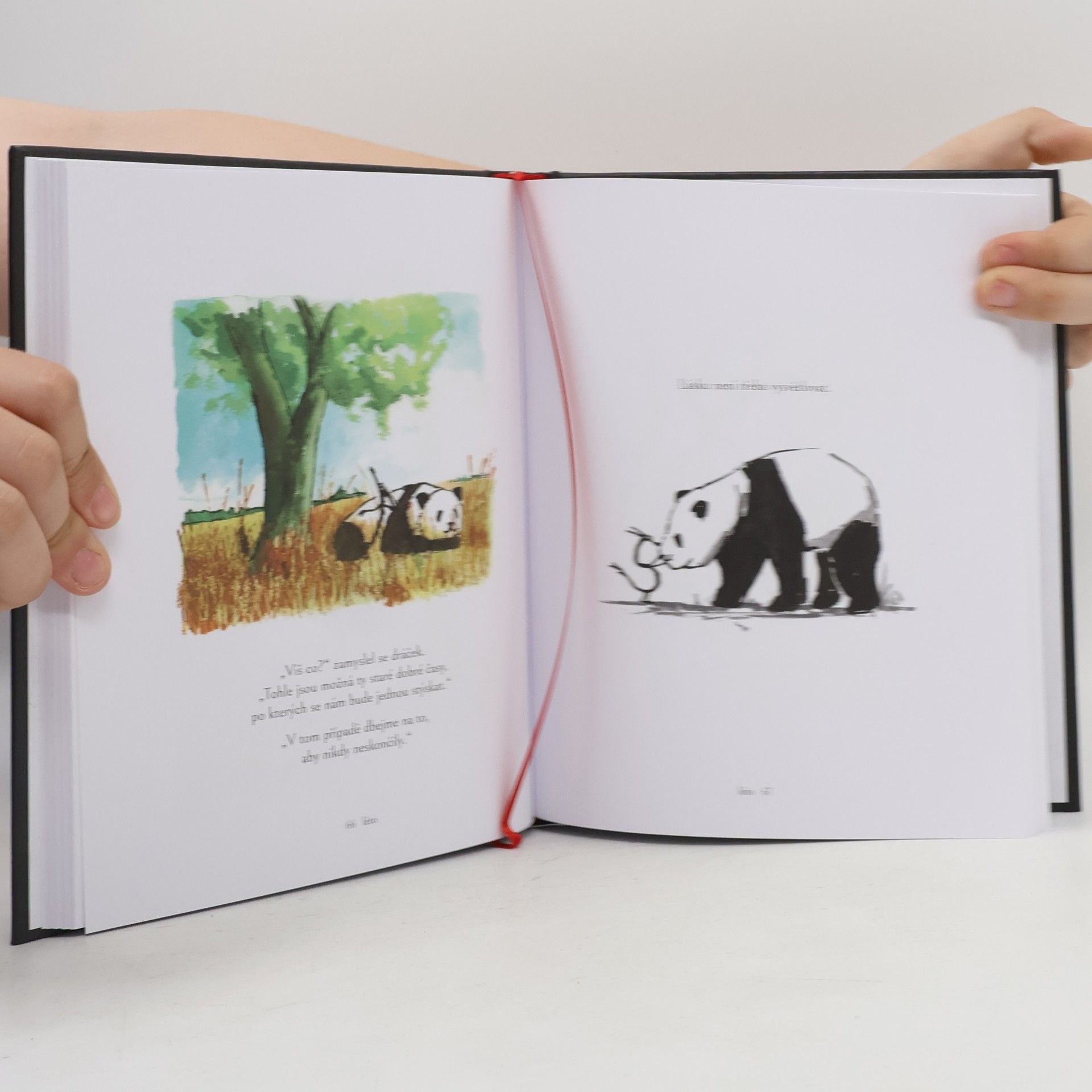James Norbury Panda a dráček