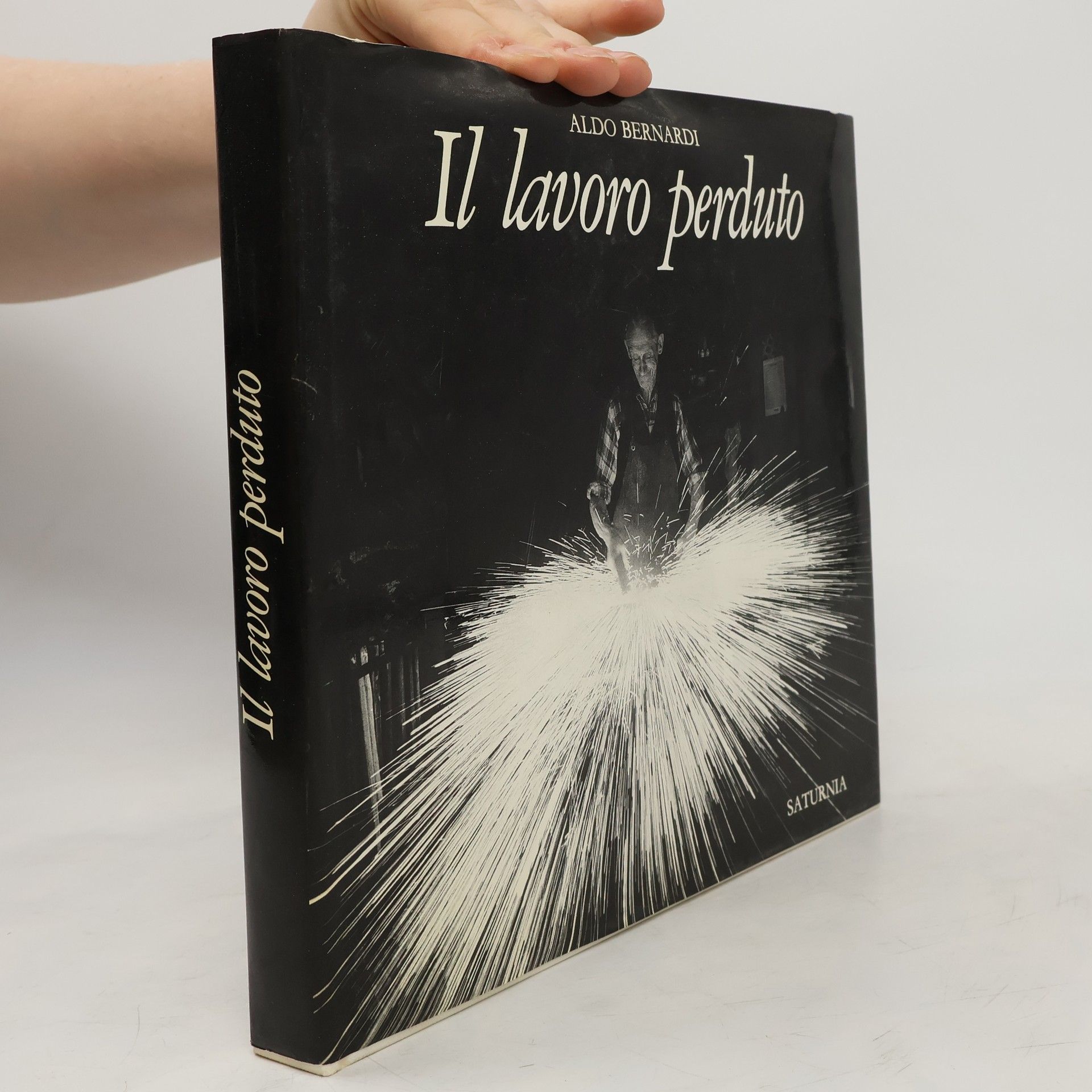 Aldo Bernardi Il lavoro perduto