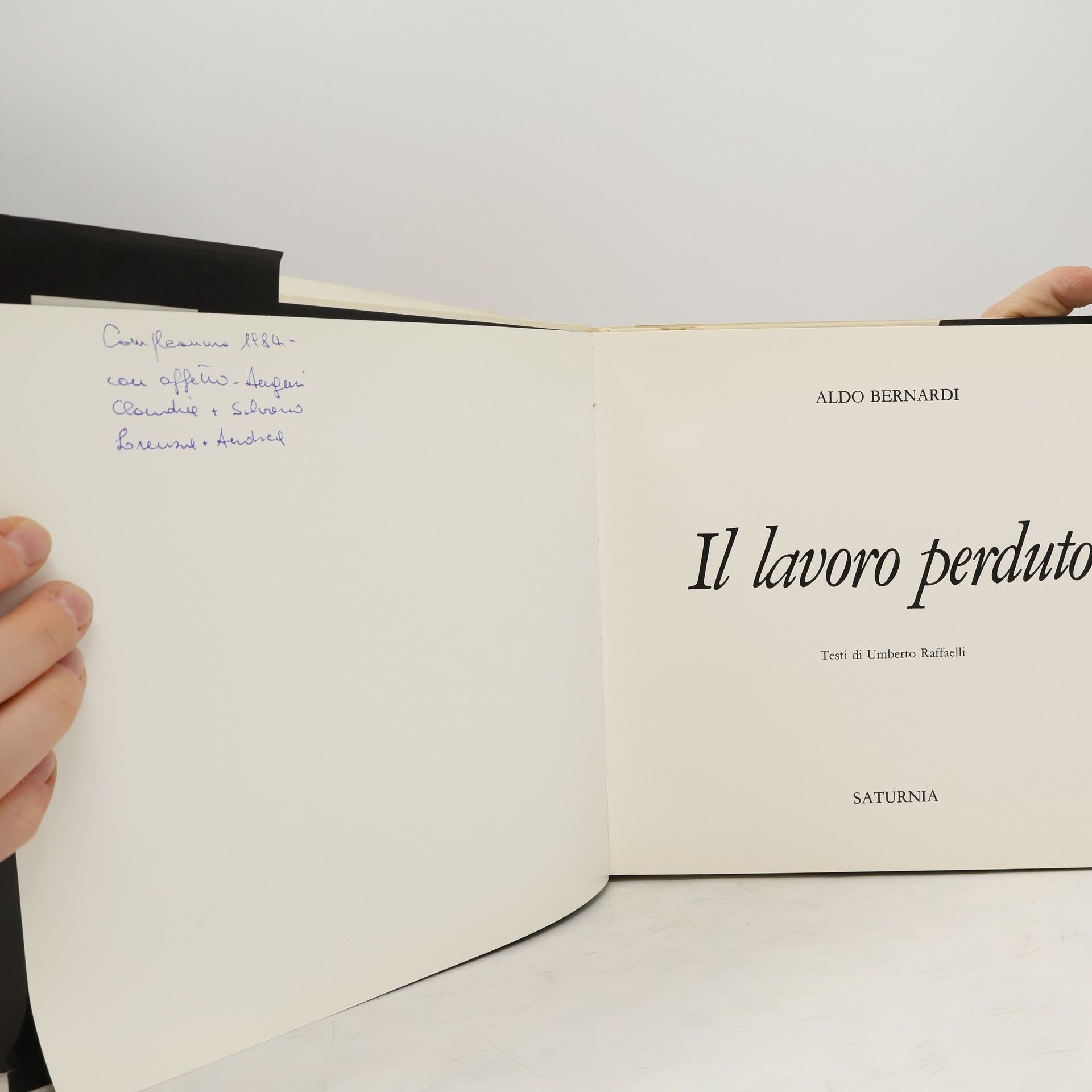 Aldo Bernardi Il lavoro perduto