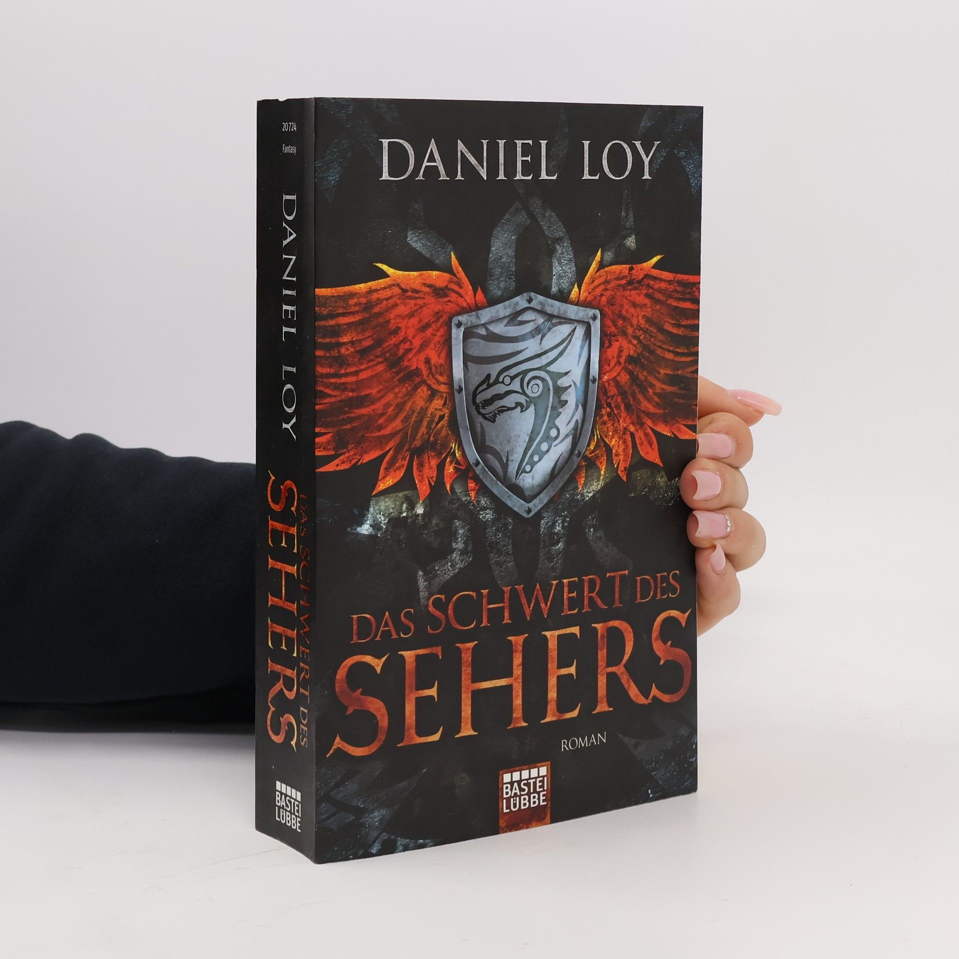 Daniel Loy Das Schwert des Sehers