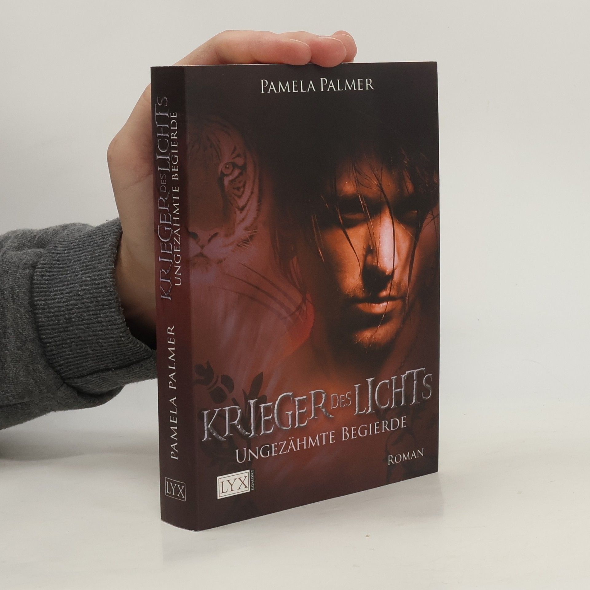 Pamela Palmer Krieger des Lichts 2