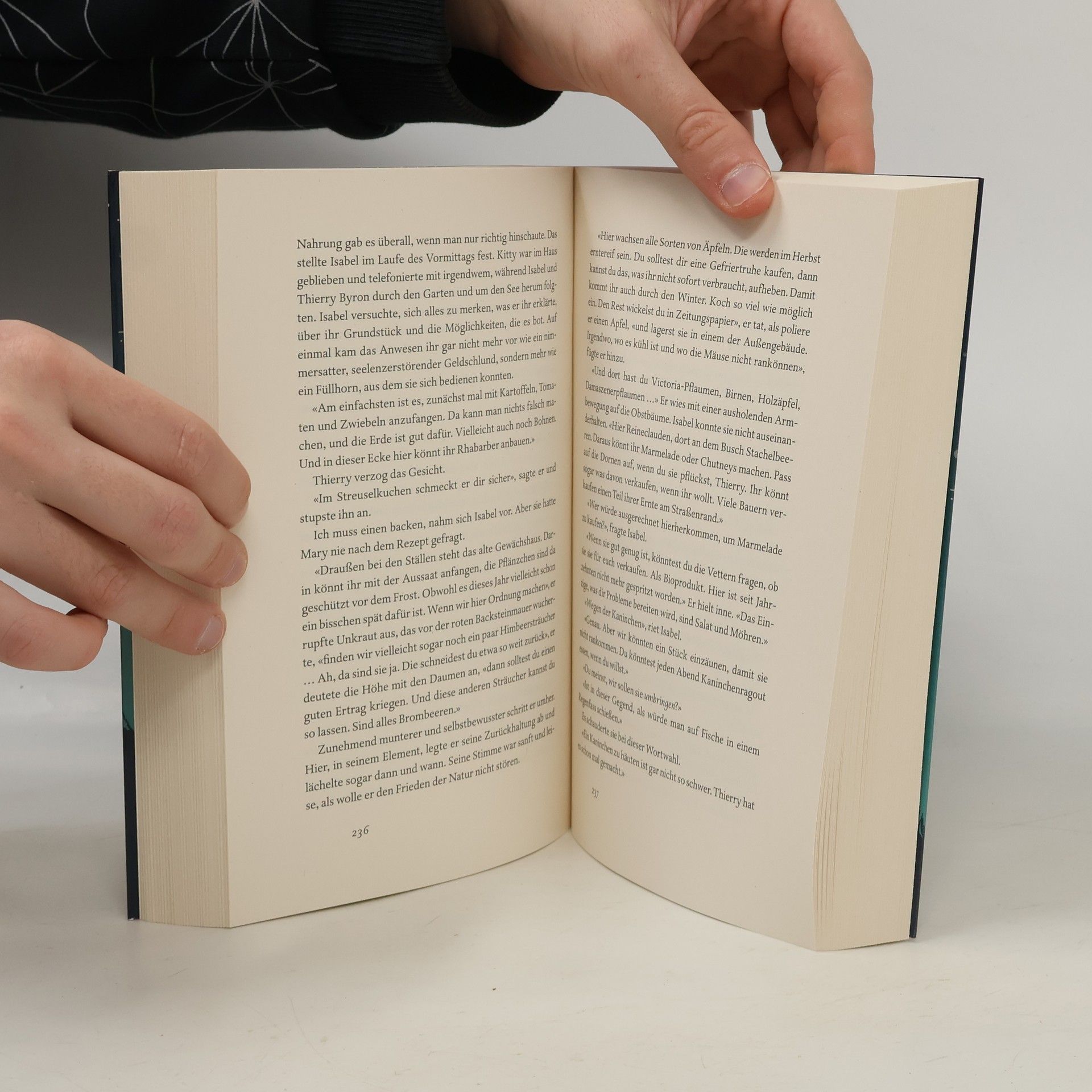 Jojo Moyes Der Klang des Herzens