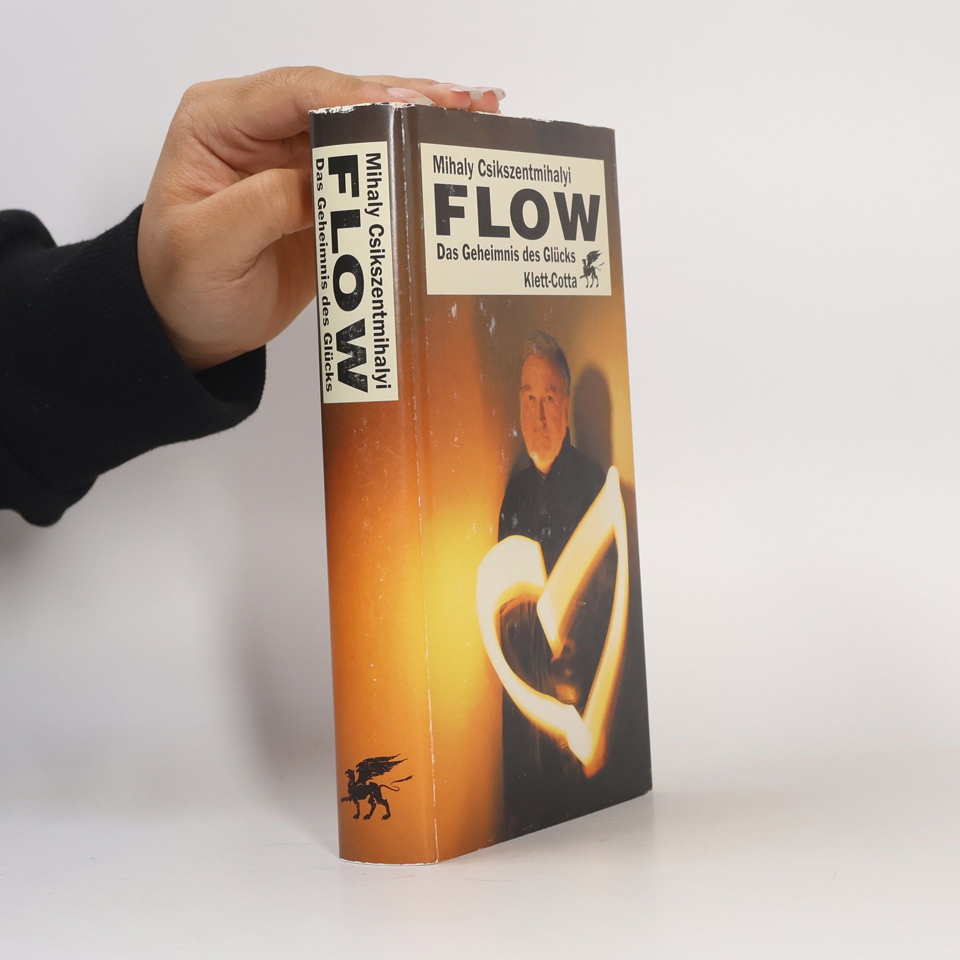 Mihaly Csikszentmihalyi FLOW Das Geheimnis des Glücks