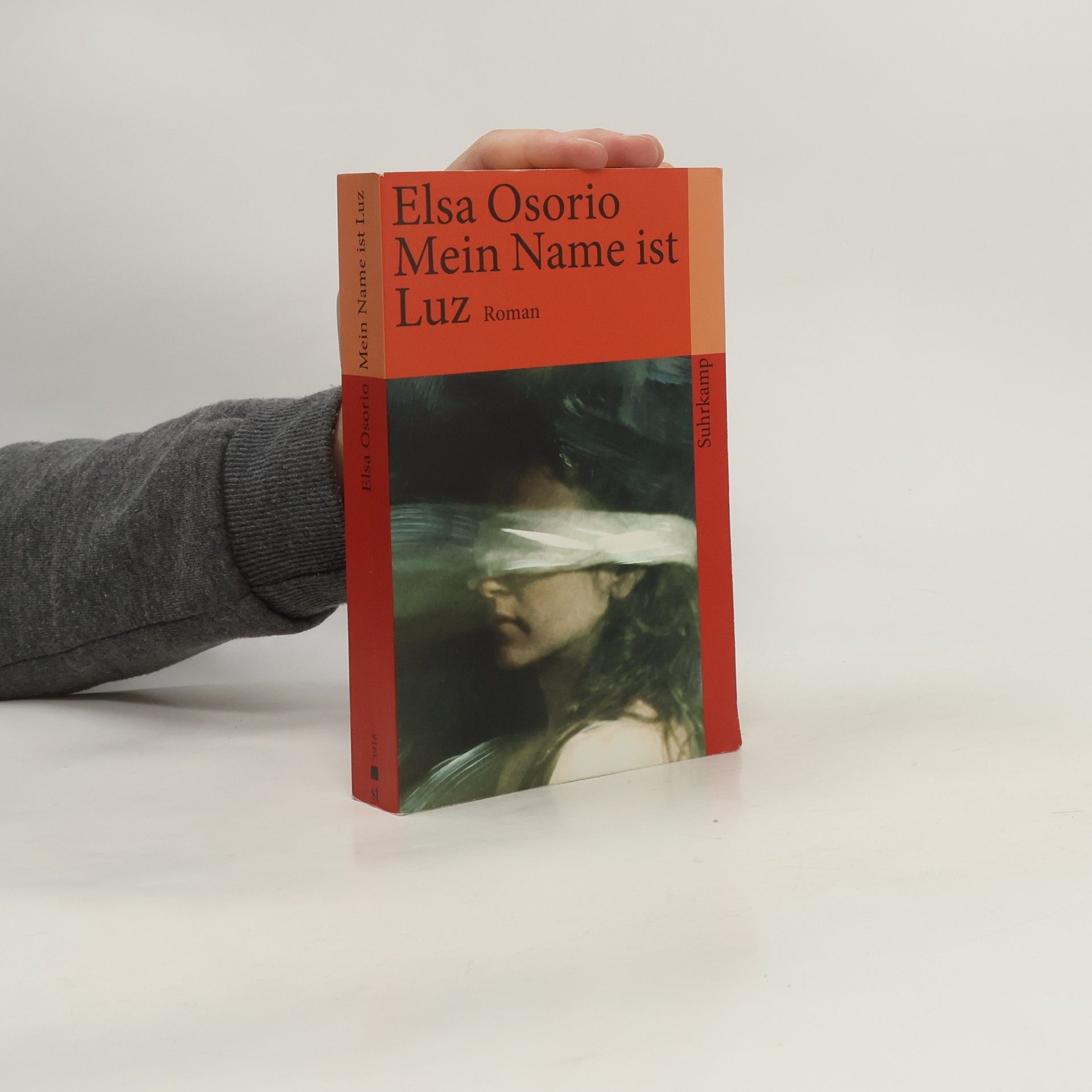 Elsa Osorio Mein Name ist Luz