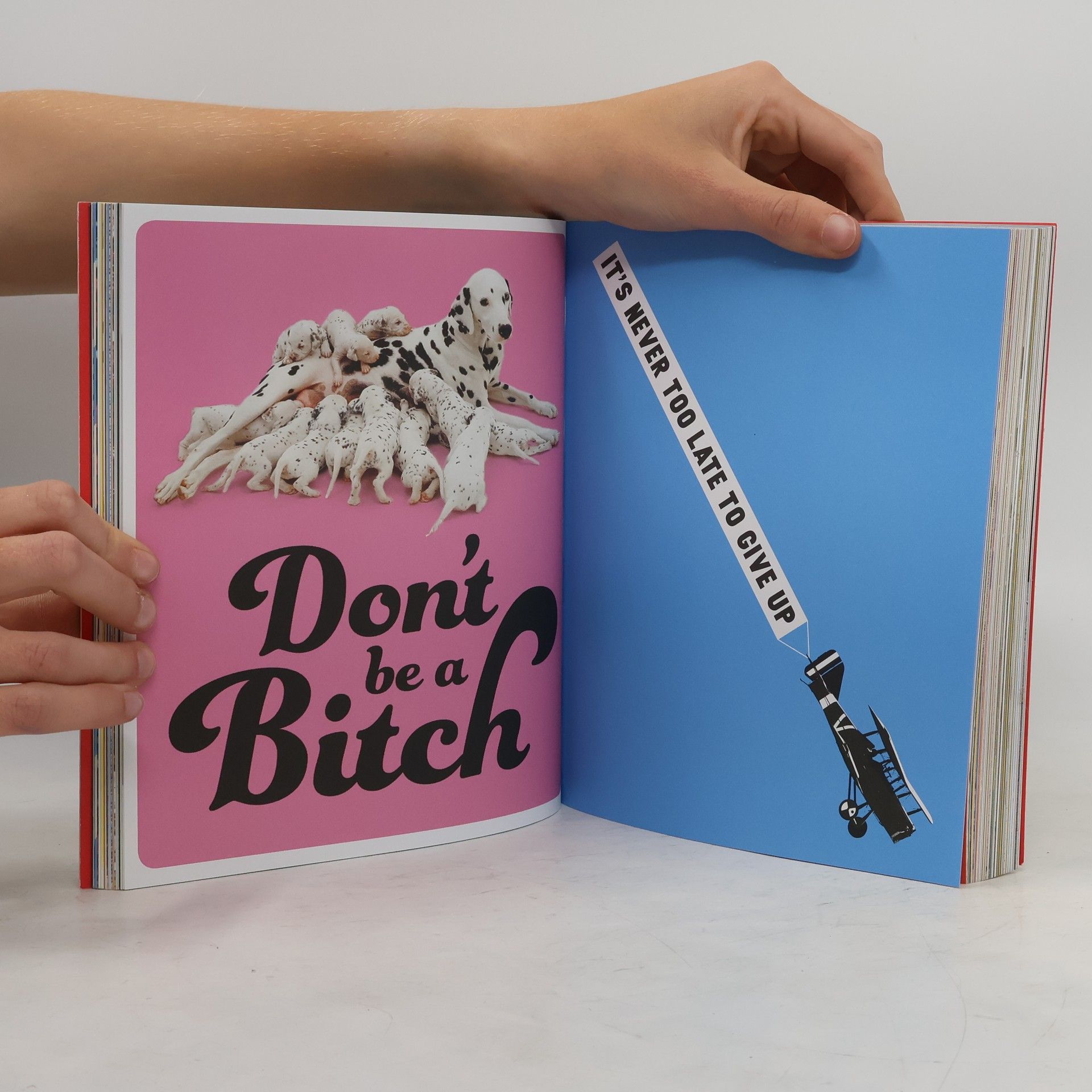 PewDiePie This book loves you
