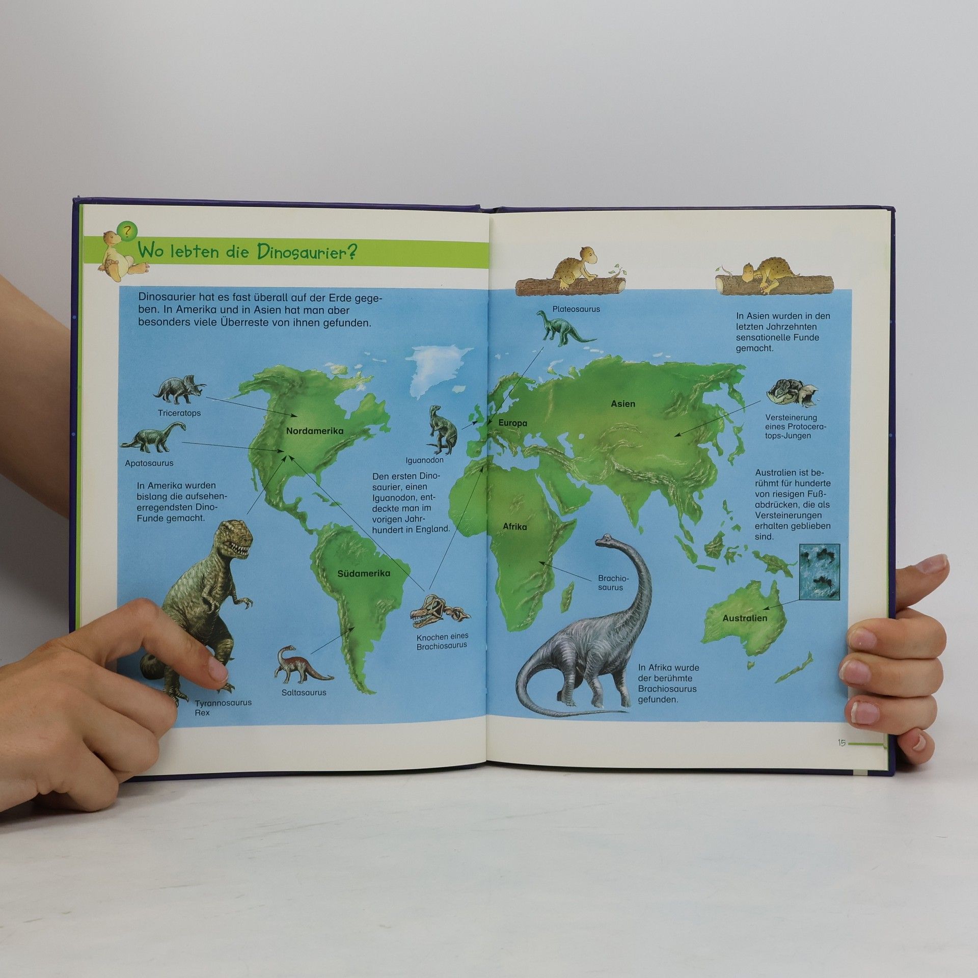 Marilis Lunkenbein Dinosaurier