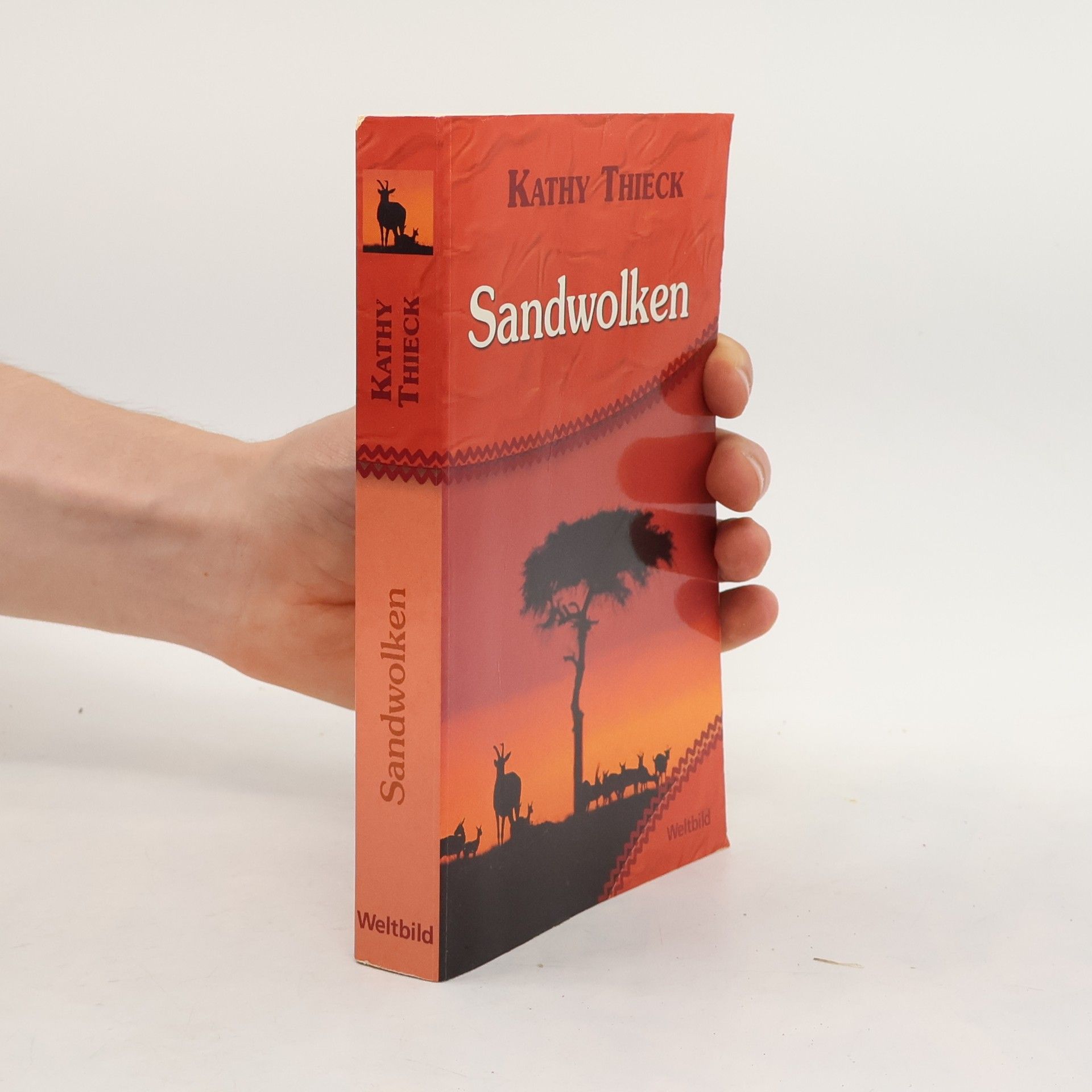 Kathy Thieck Sandwolken