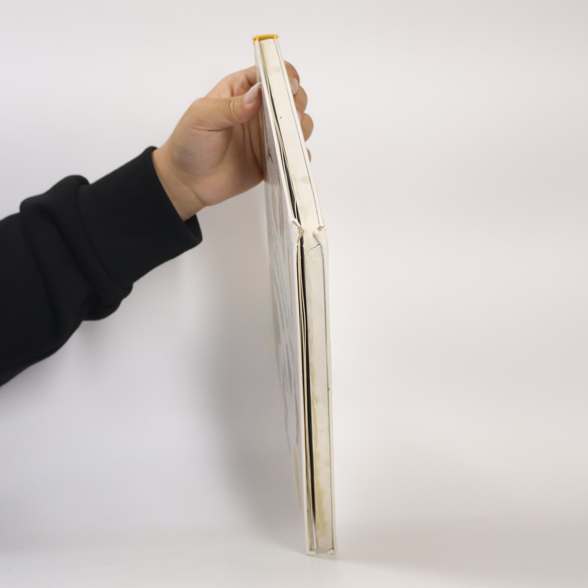 Autorenkollektiv Mein großes Buch der Tiergeräusche