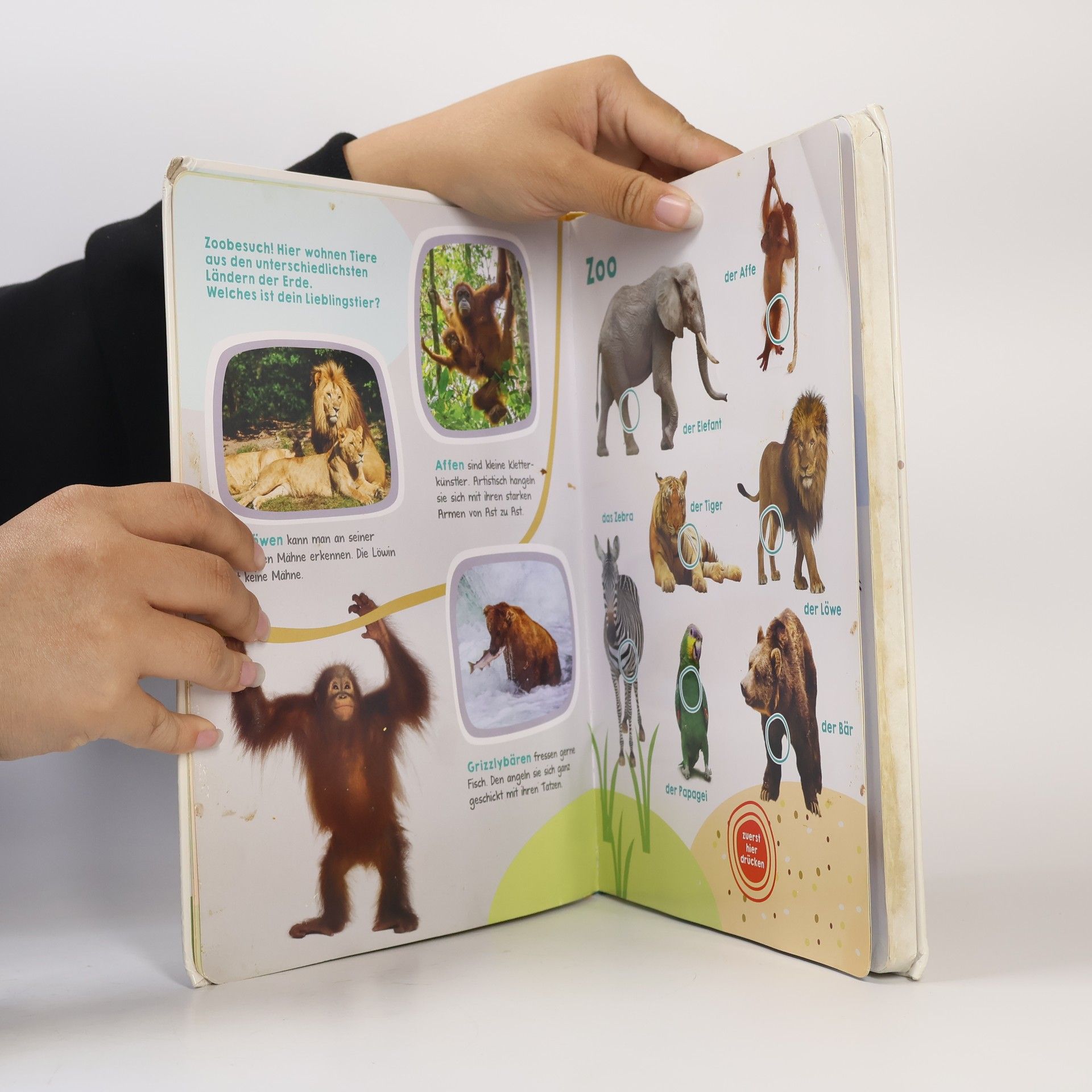 Autorenkollektiv Mein großes Buch der Tiergeräusche
